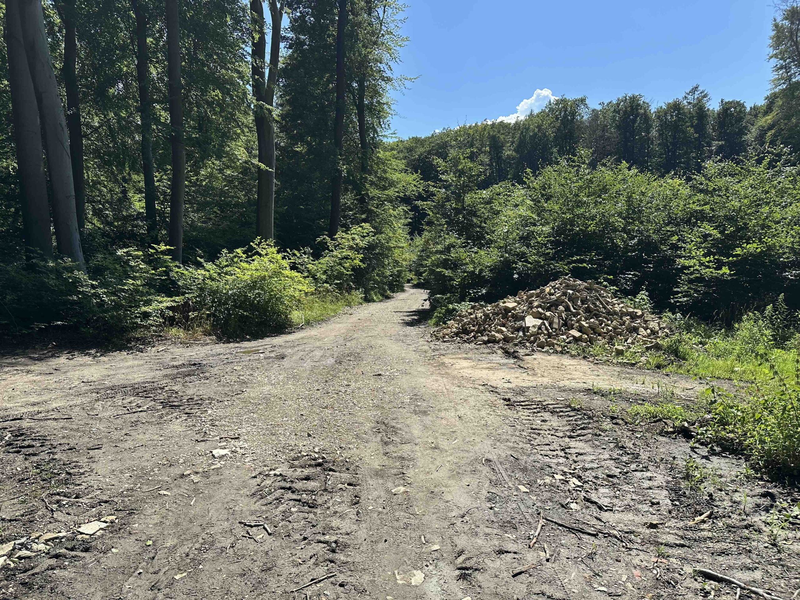 Ristelweg-Greifvogelstation4