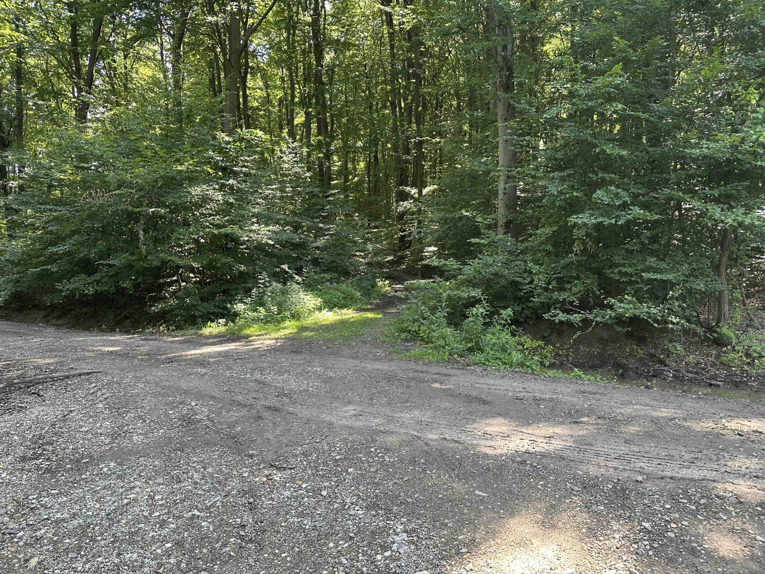 Ristelweg-Greifvogelstation5