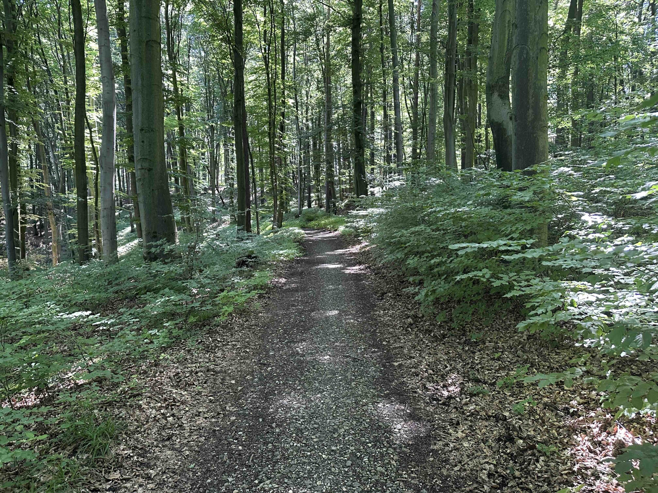 Ristelweg-Greifvogelstation6