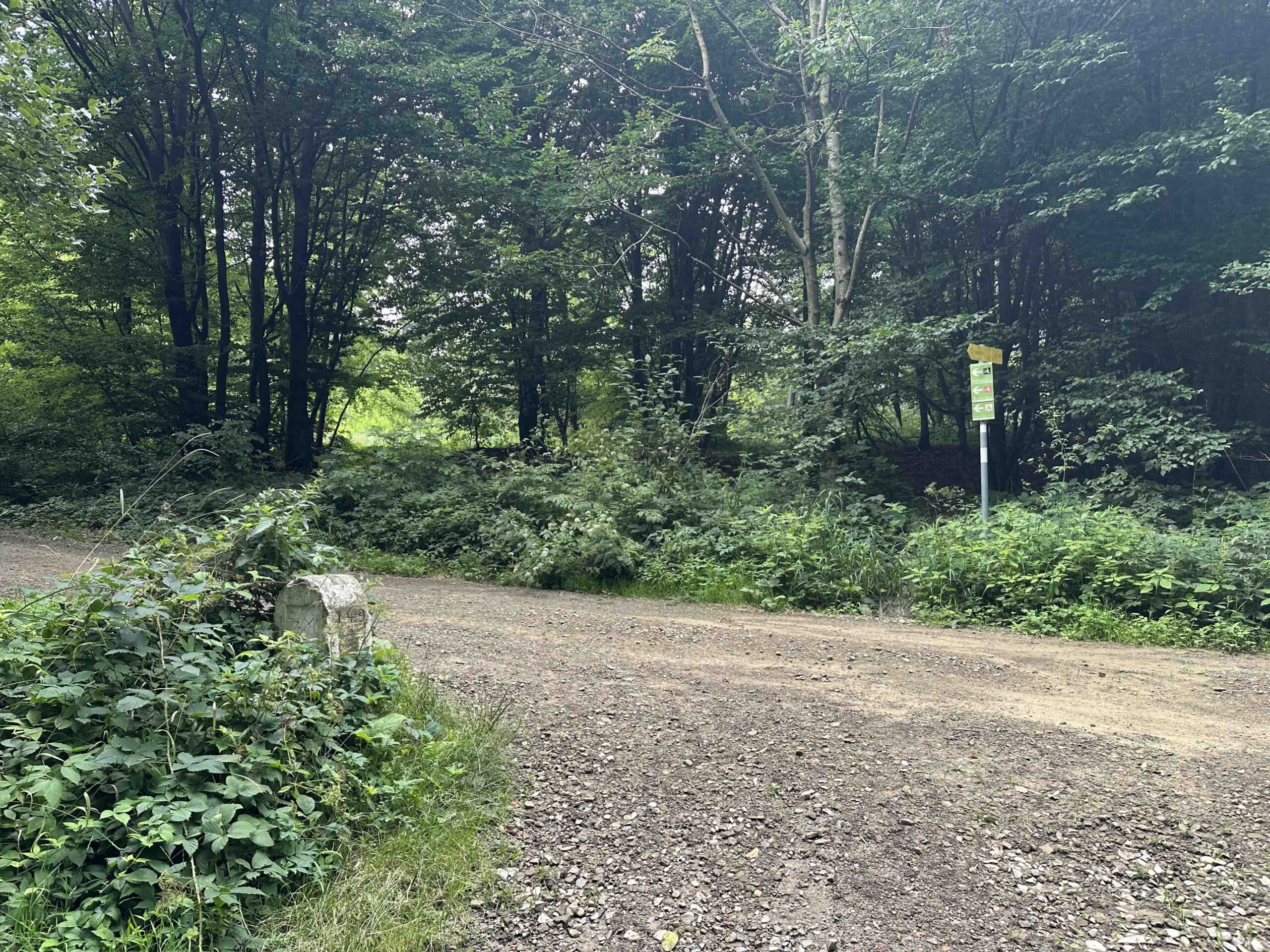 Wegknoten Steinriegl/Tullnerstrasse