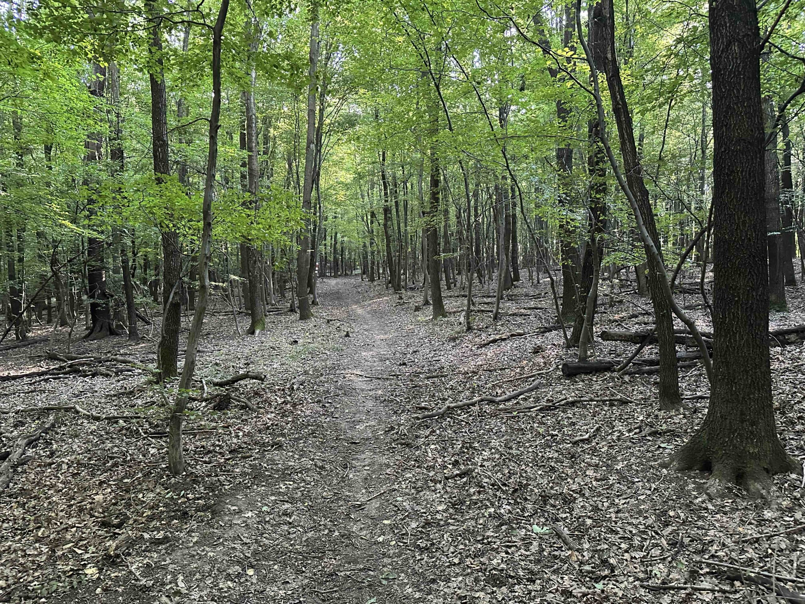 Unterkirchbach-Heinbuch10