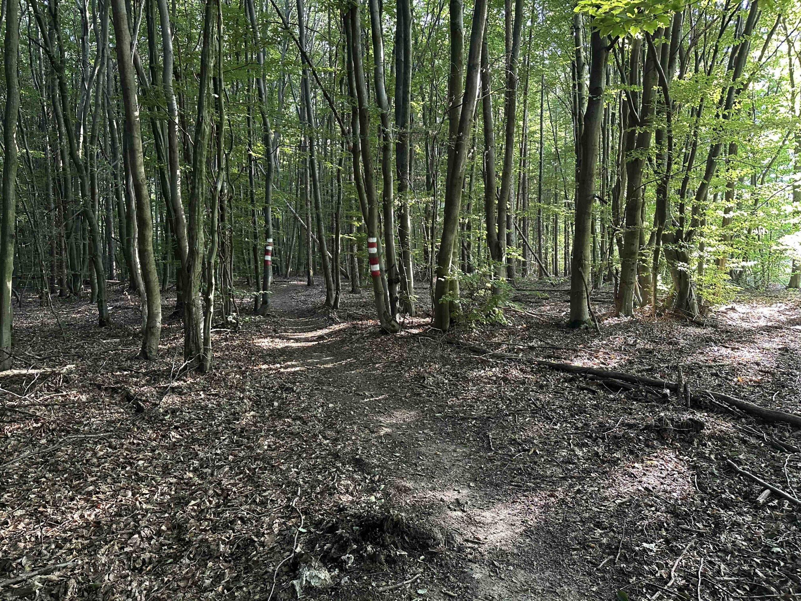 Unterkirchbach-Heinbuch11