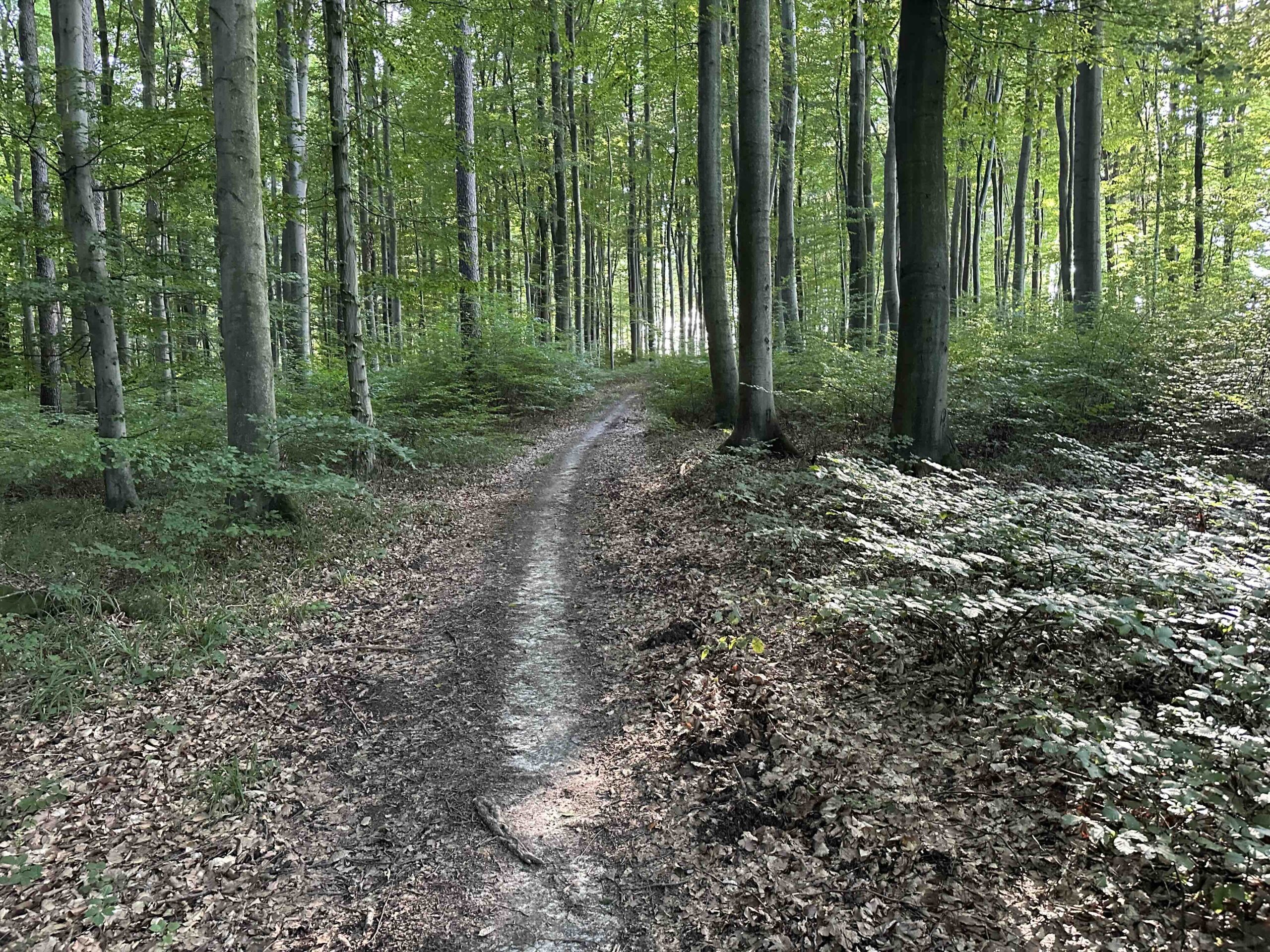 Unterkirchbach-Heinbuch13