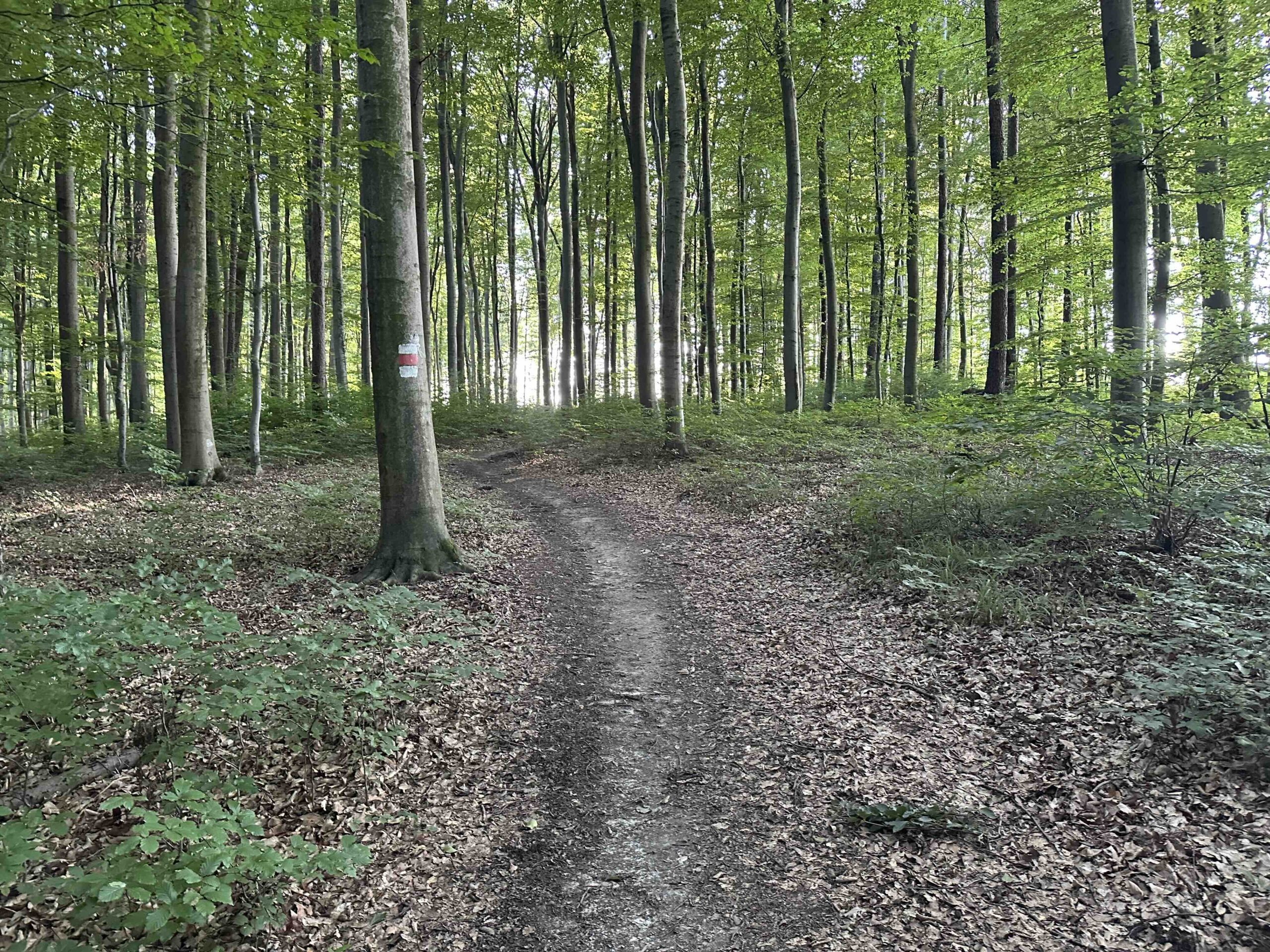 Unterkirchbach-Heinbuch14