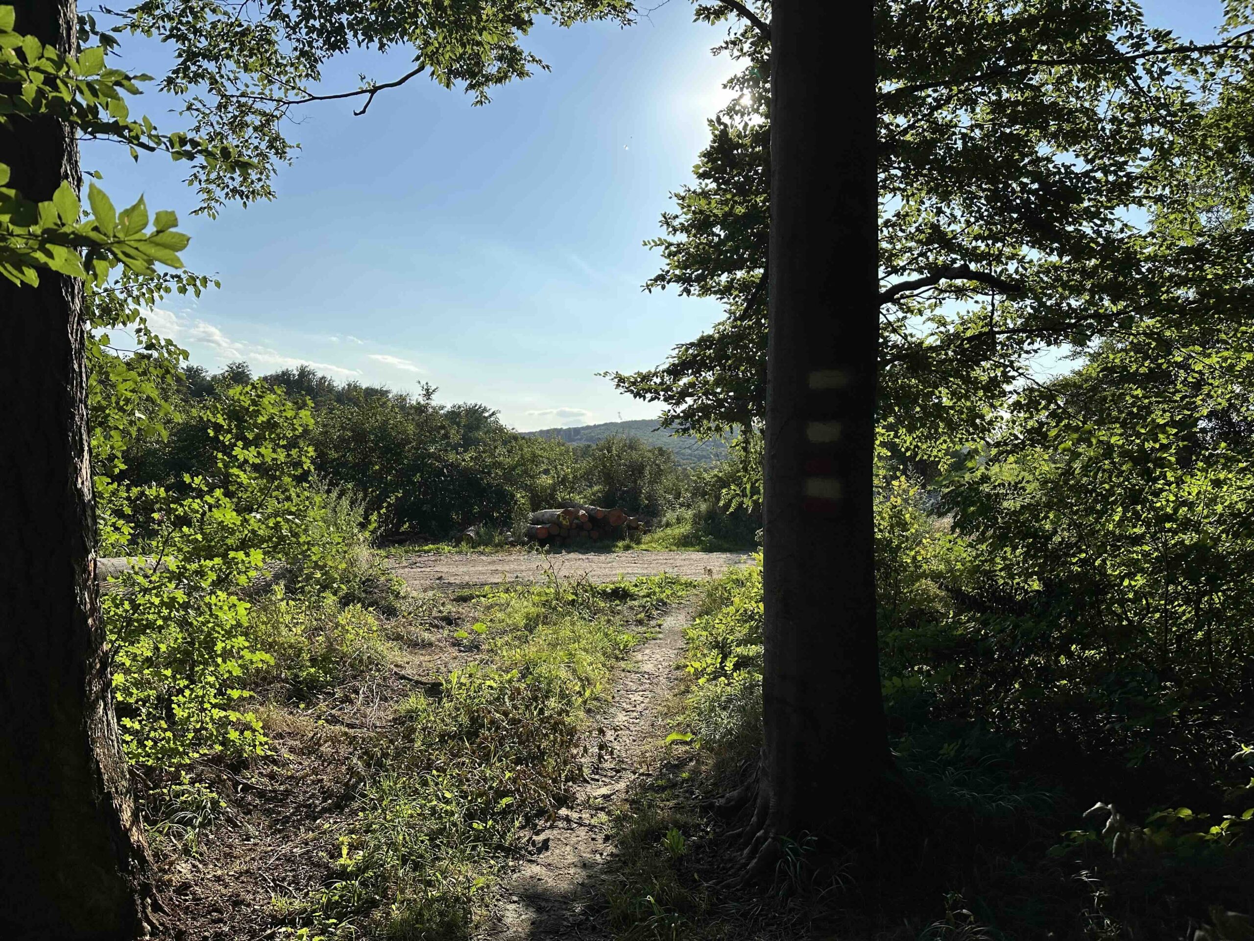 Unterkirchbach-Heinbuch15