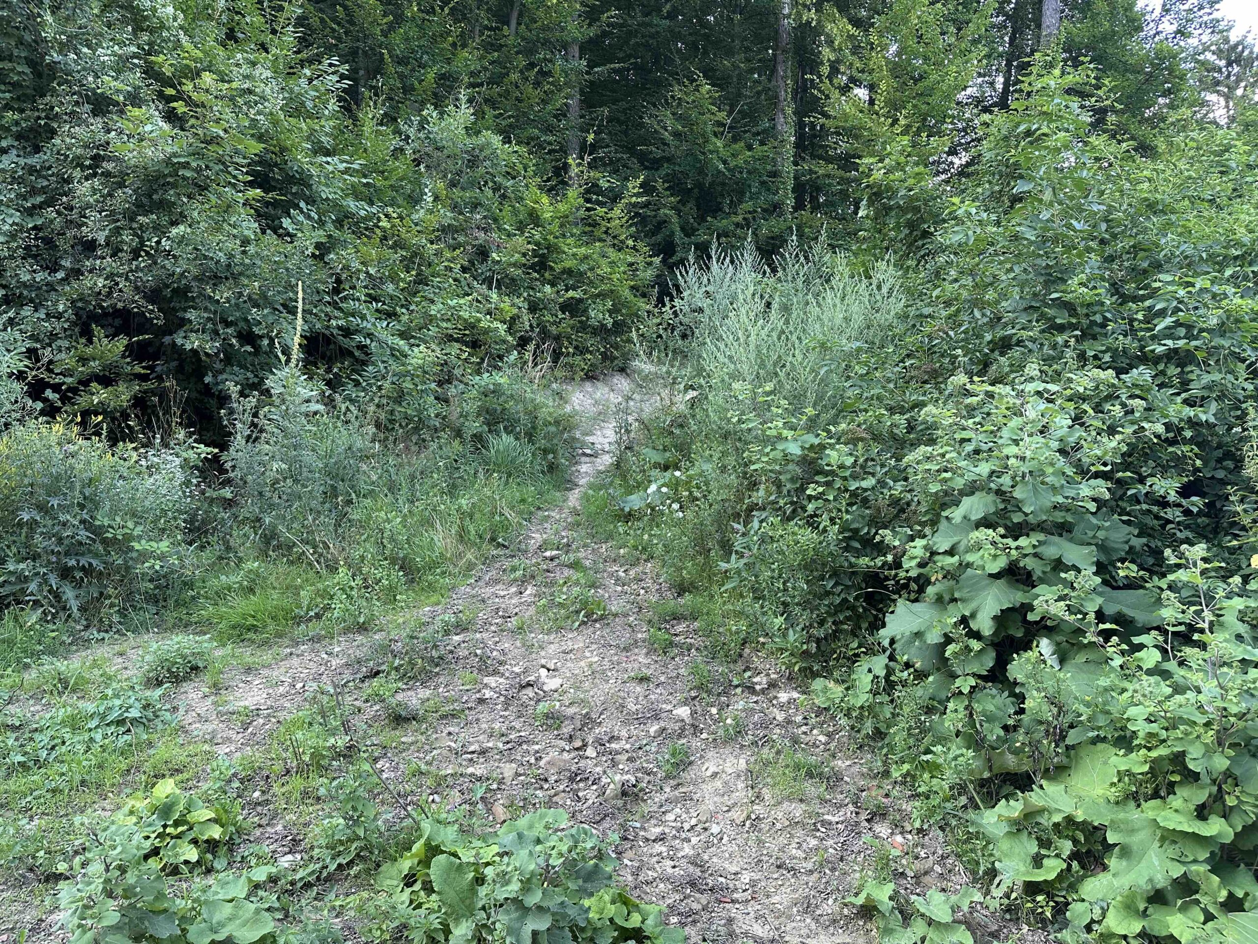 Unterkirchbach-Heinbuch2