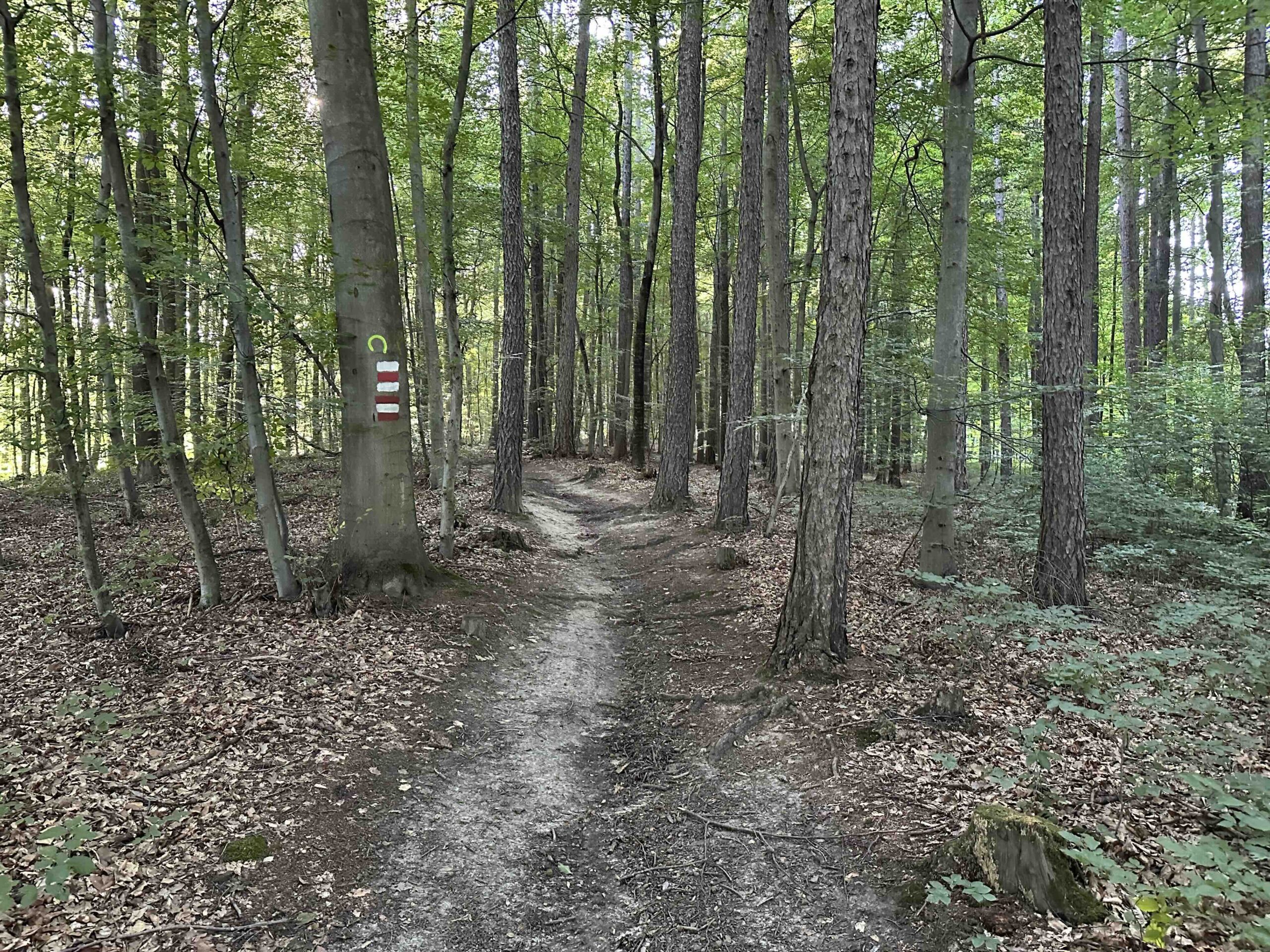 Unterkirchbach-Heinbuch4