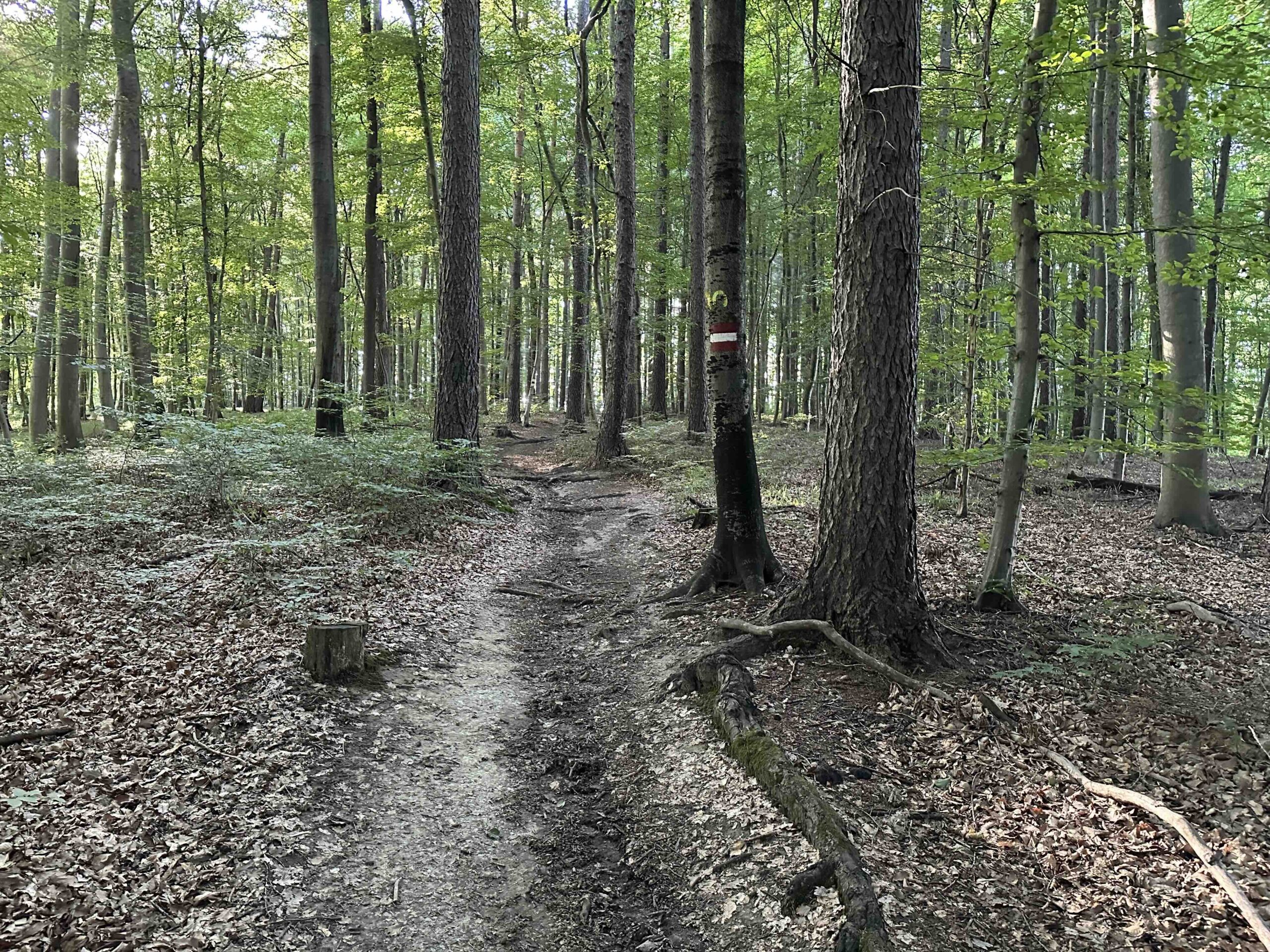 Unterkirchbach-Heinbuch5