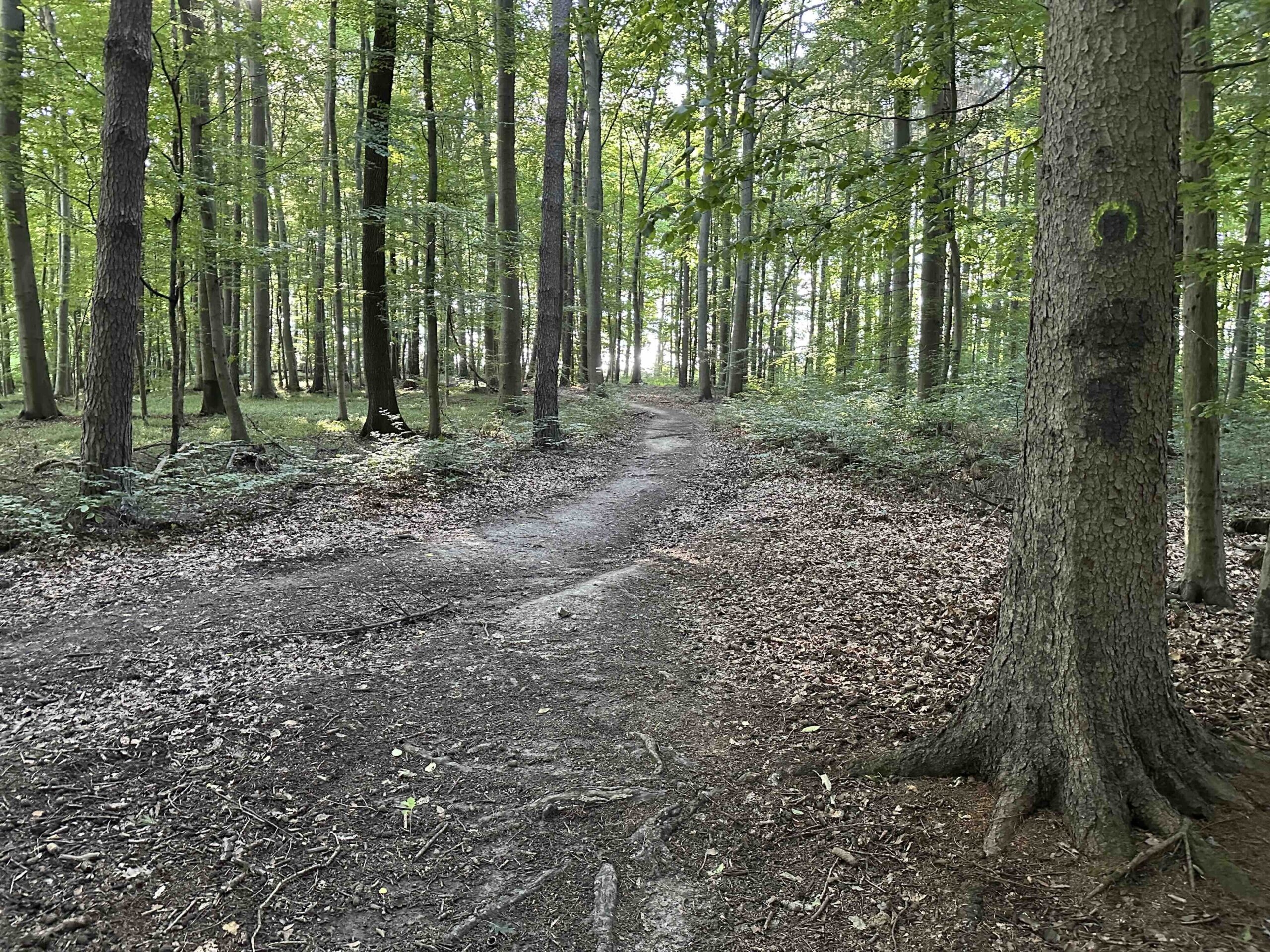 Unterkirchbach-Heinbuch6