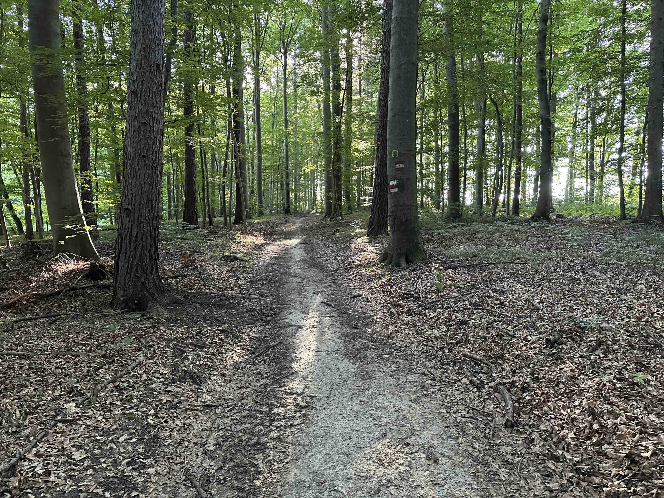 Unterkirchbach-Heinbuch7