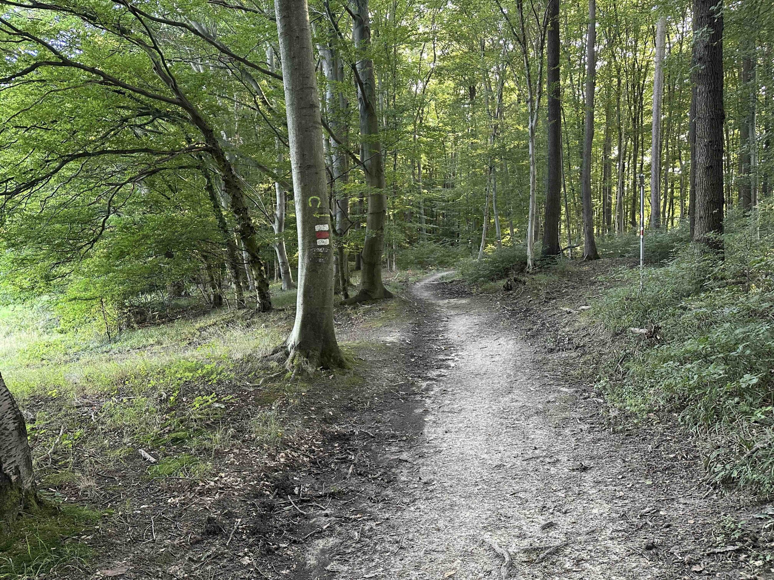 Unterkirchbach-Heinbuch8