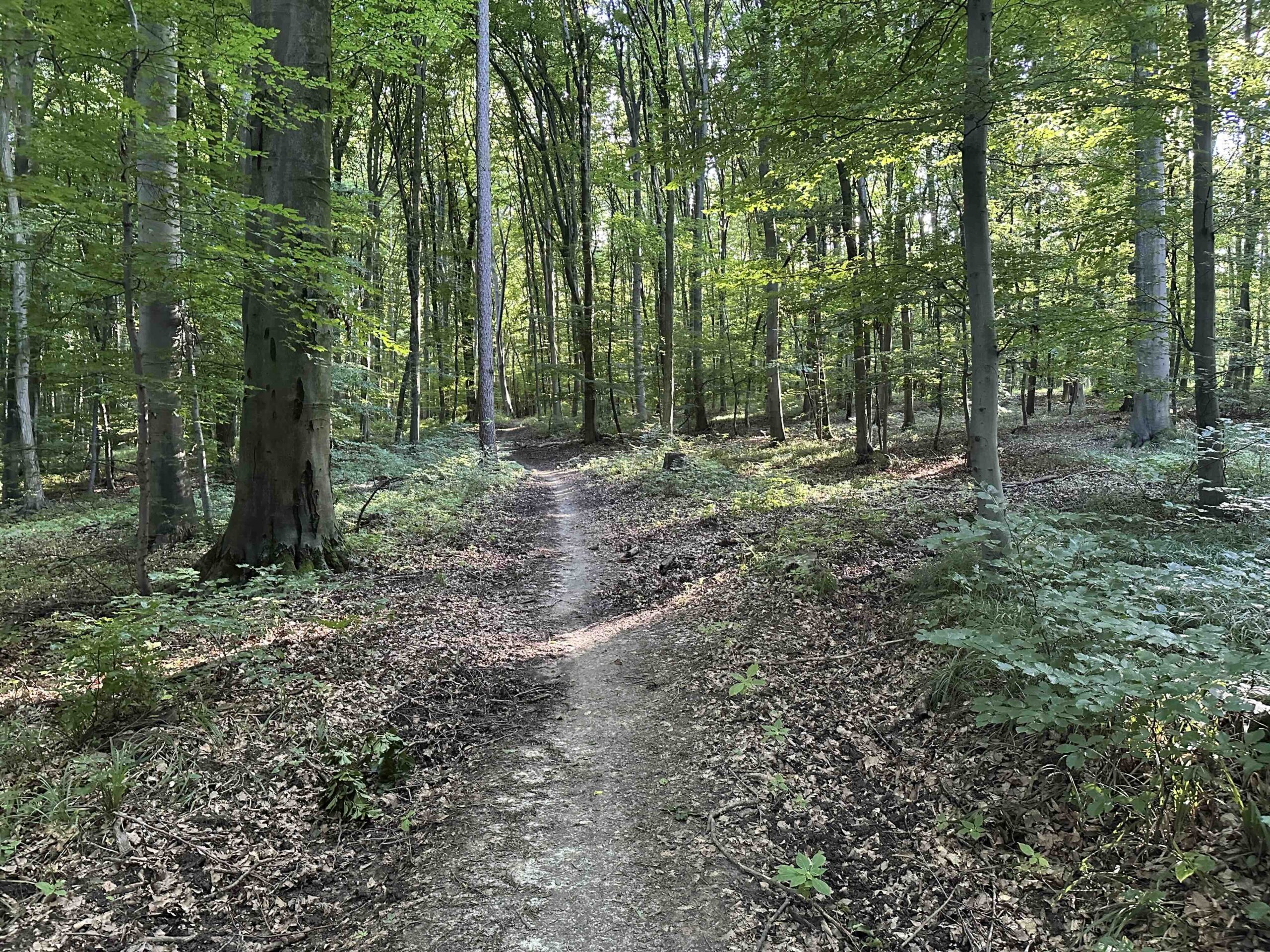 Unterkirchbach-Heinbuch9