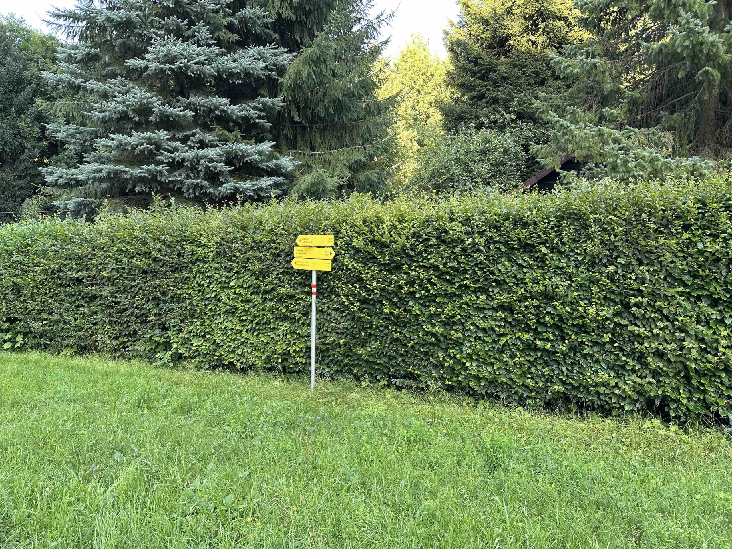 Wegknoten Unterkirchbach/Kaltes Wasser