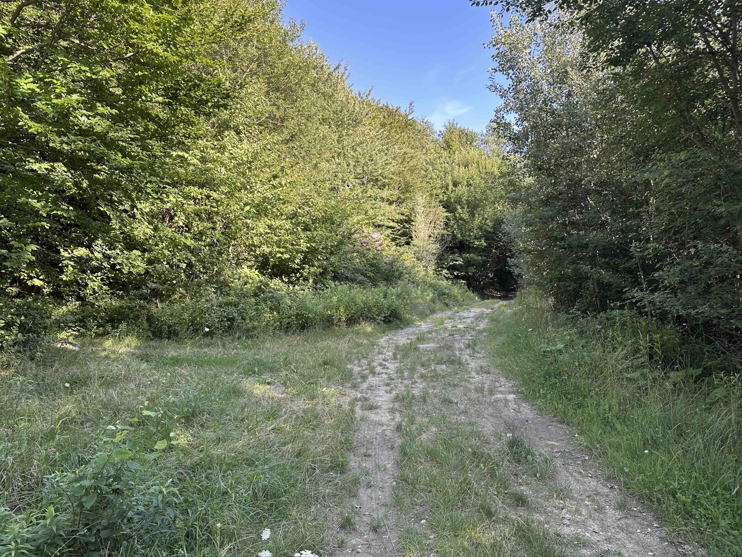 Unterkirchbach-Steinriegl10