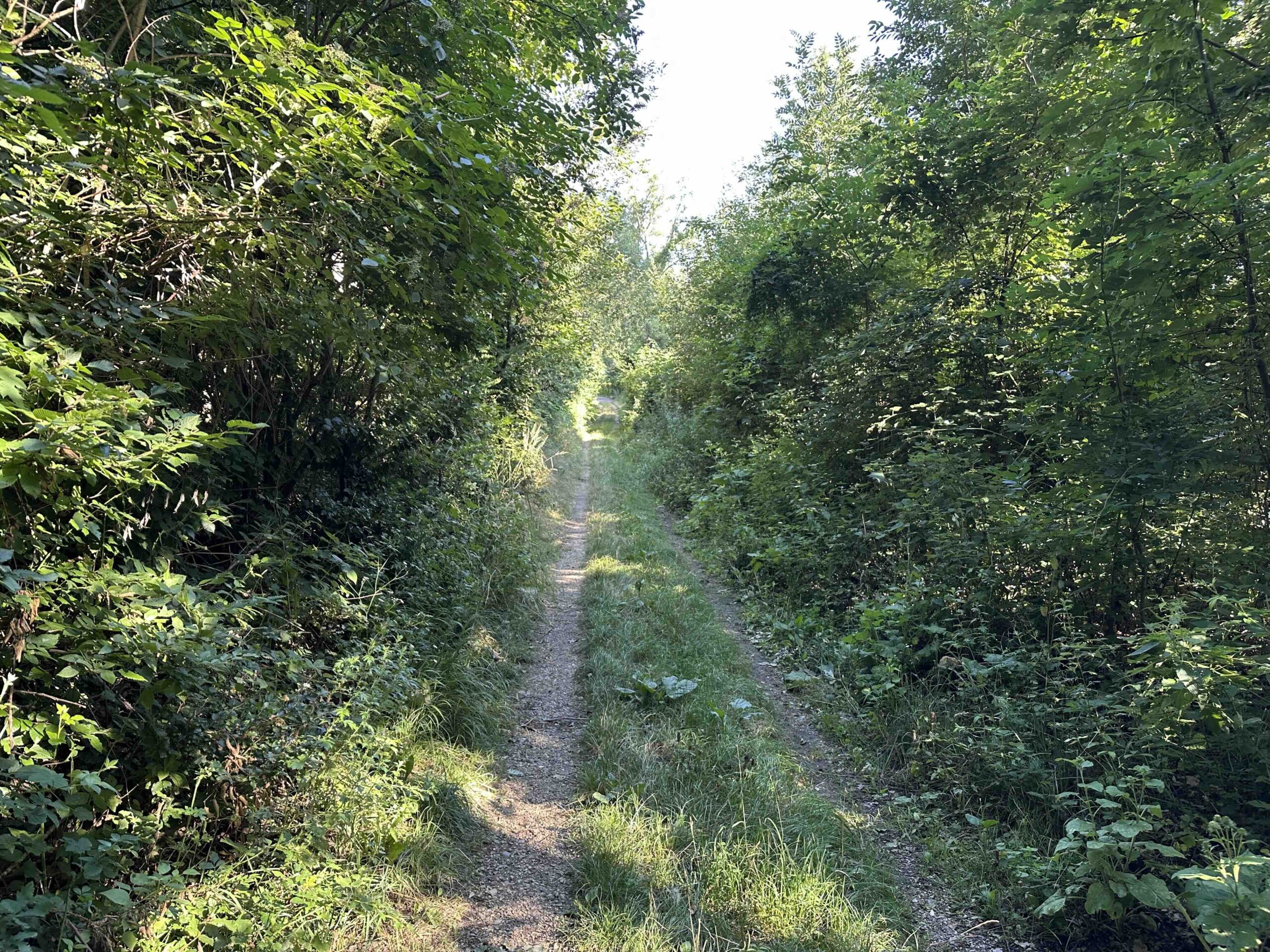 Unterkirchbach-Steinriegl11