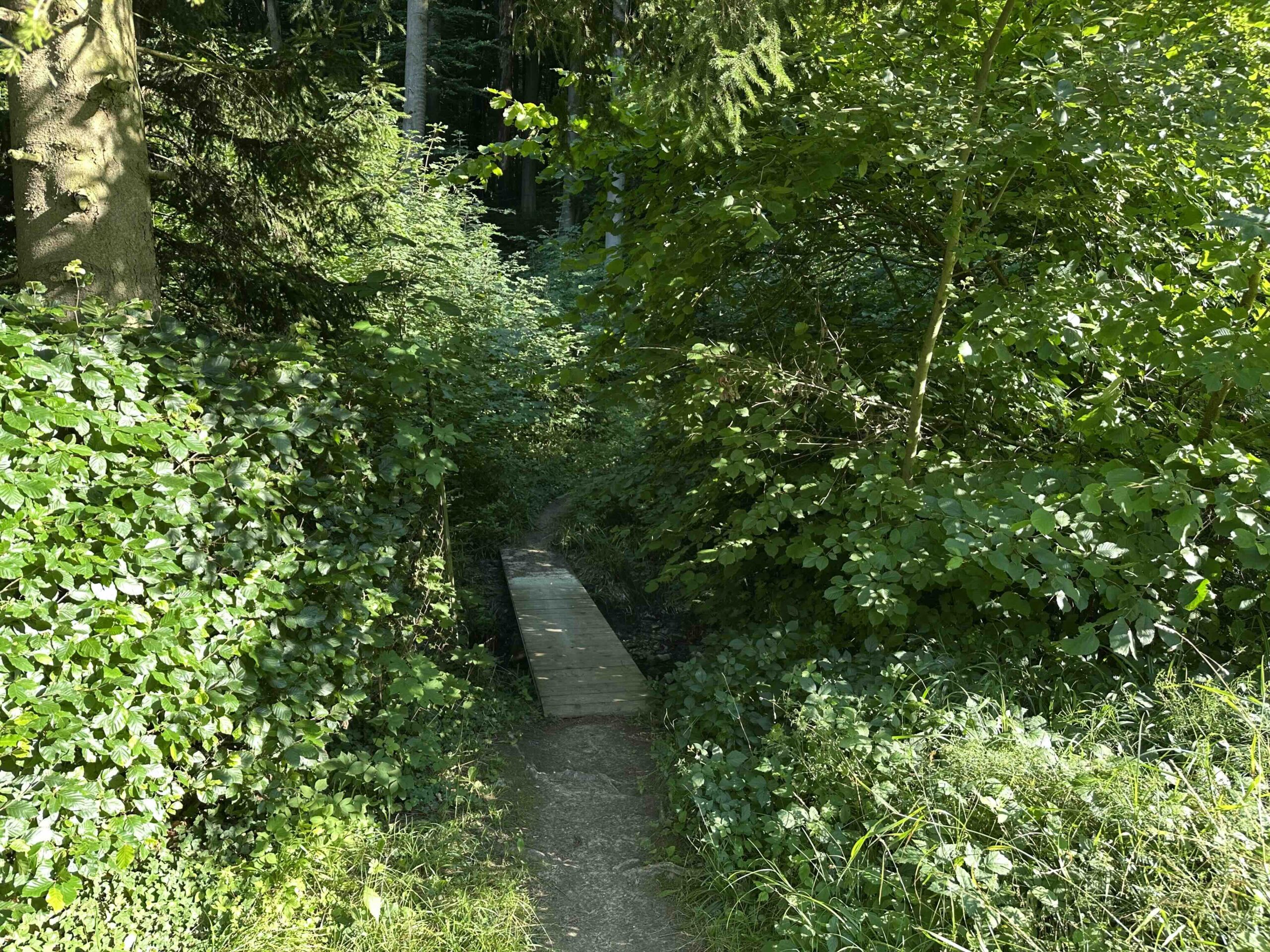 Unterkirchbach-Steinriegl2