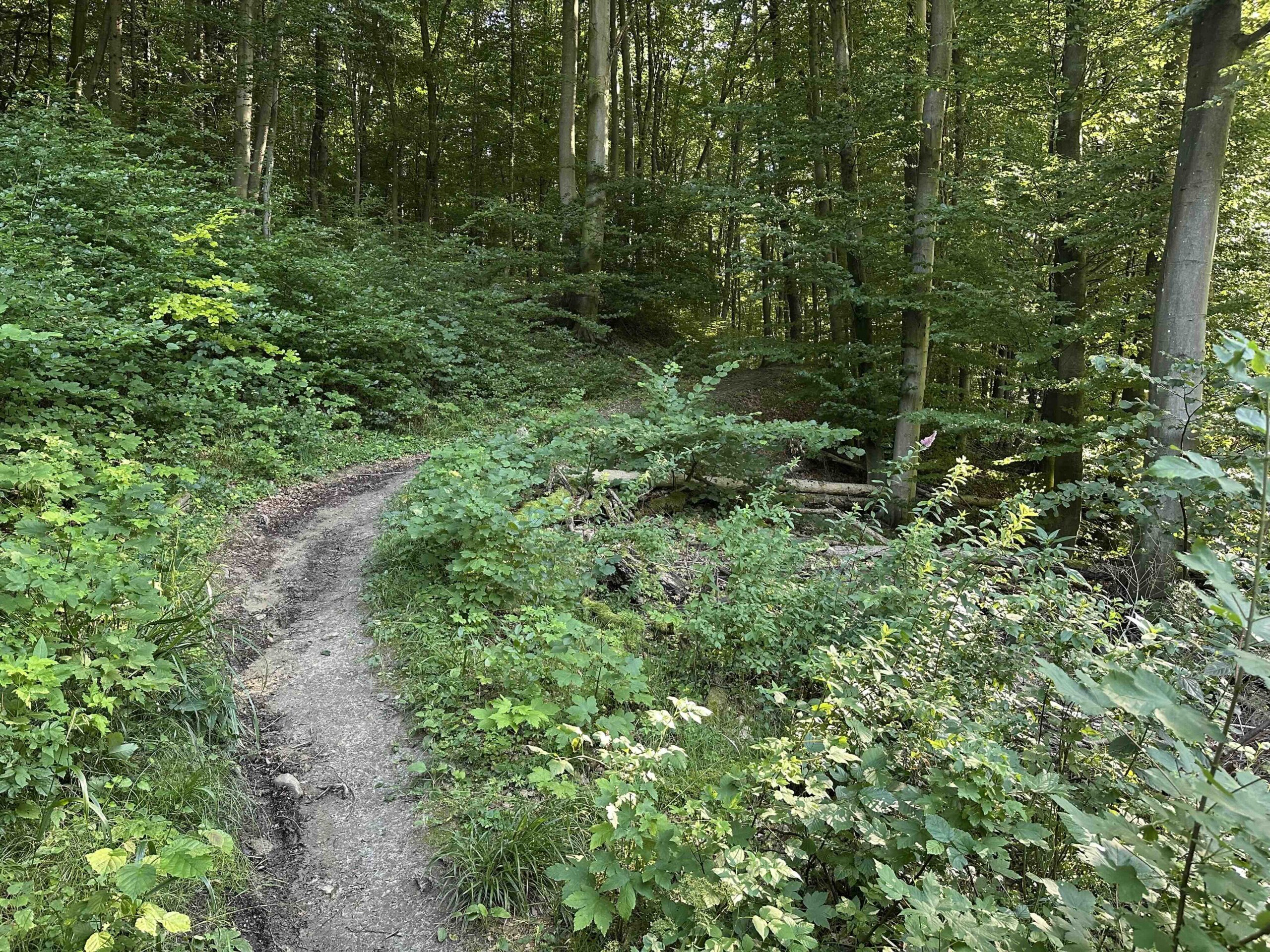 Unterkirchbach-Steinriegl3