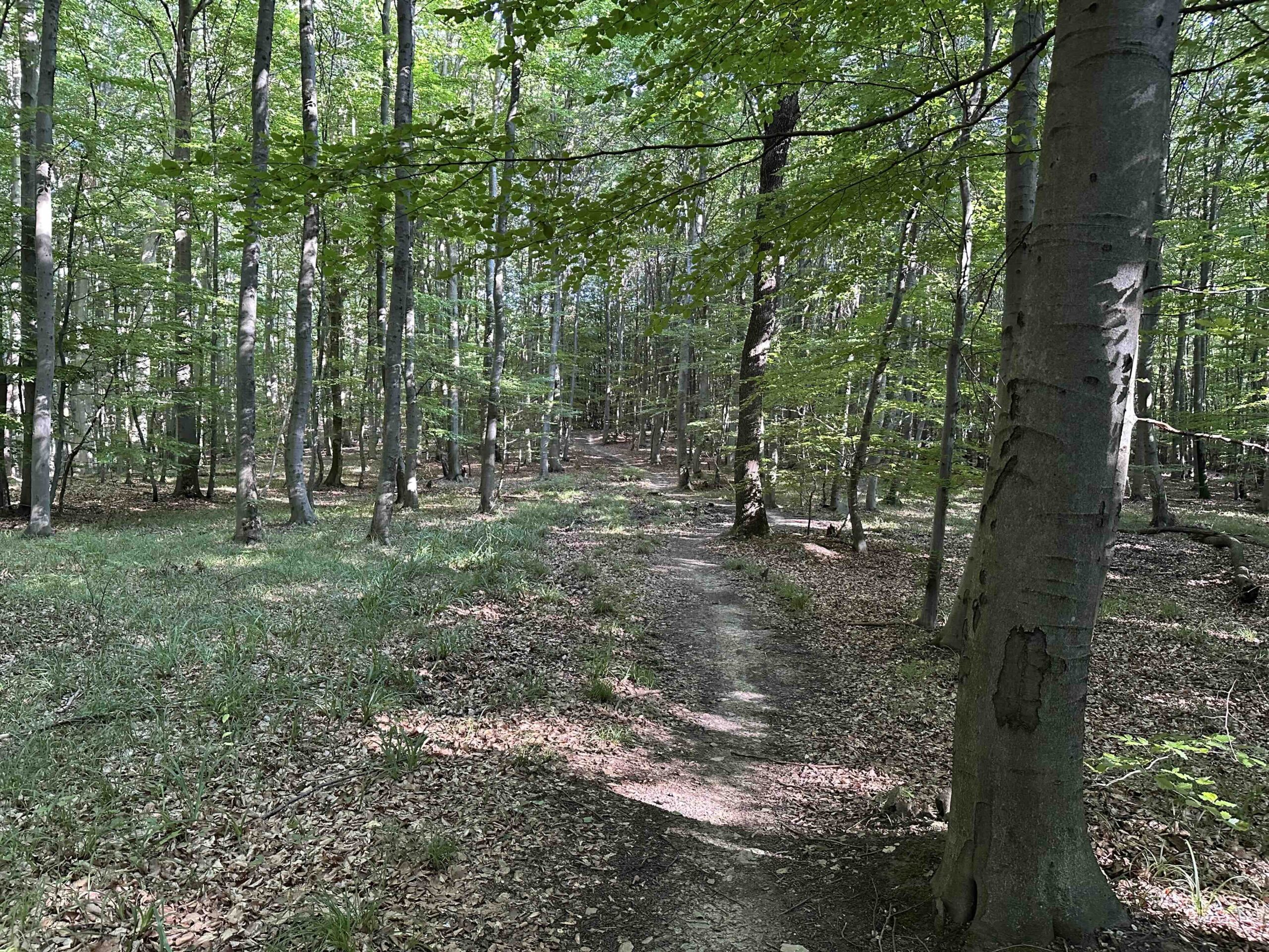 Unterkirchbach-Steinriegl5