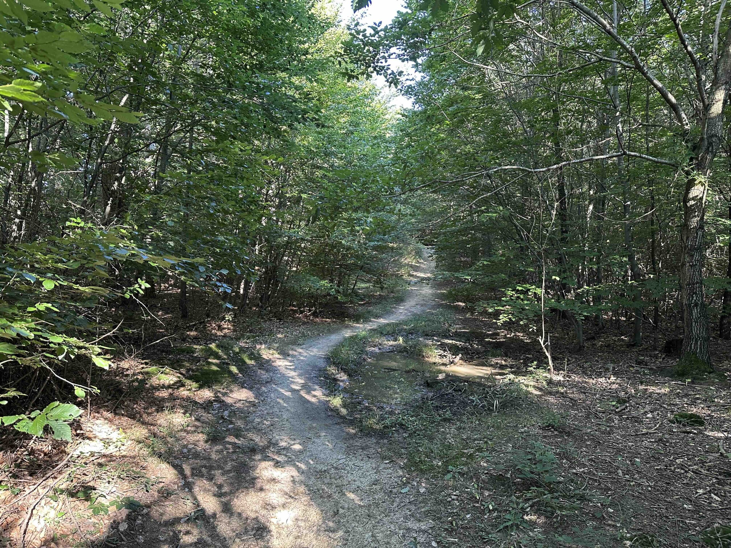 Unterkirchbach-Steinriegl6