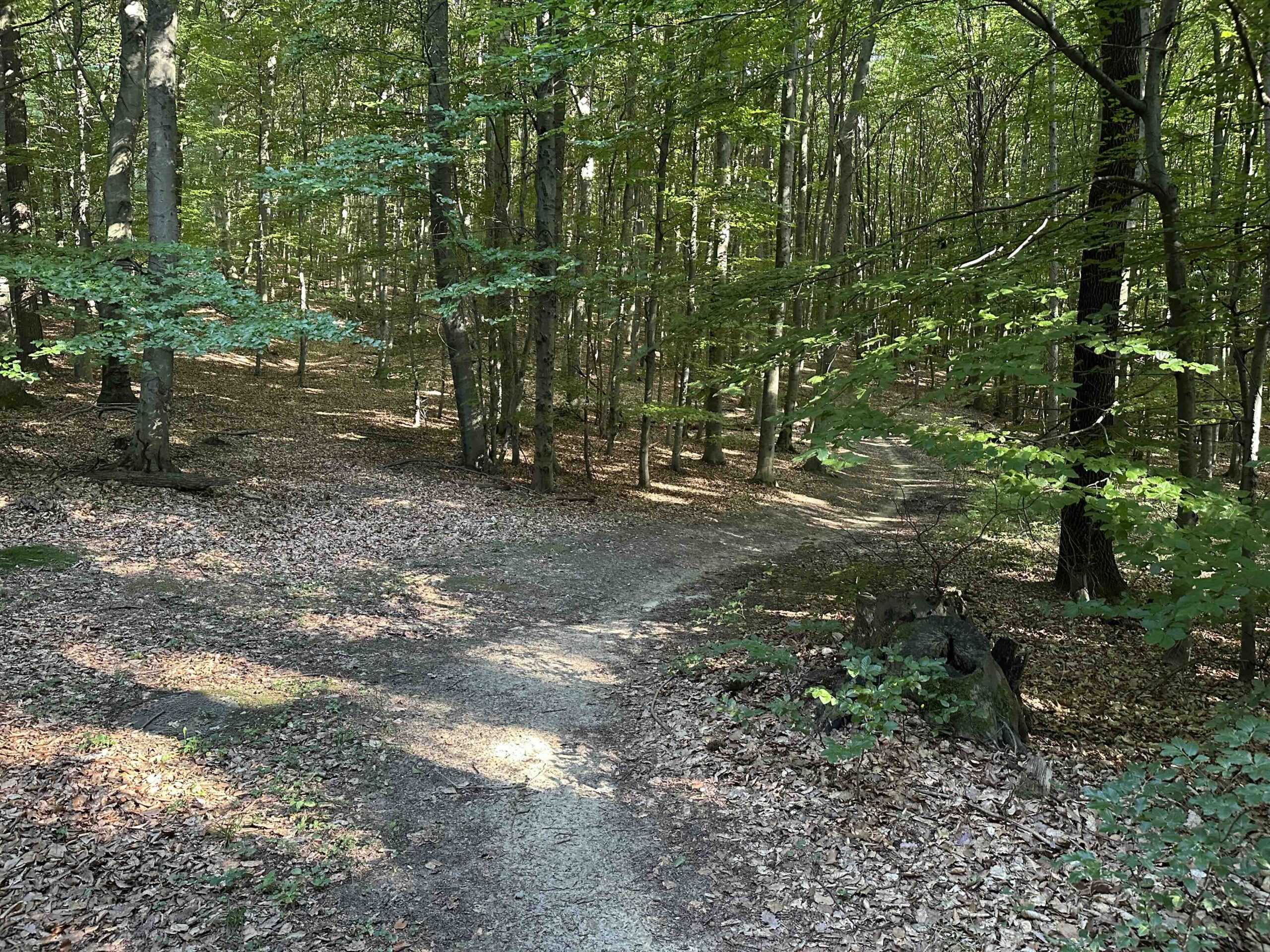 Unterkirchbach-Steinriegl7