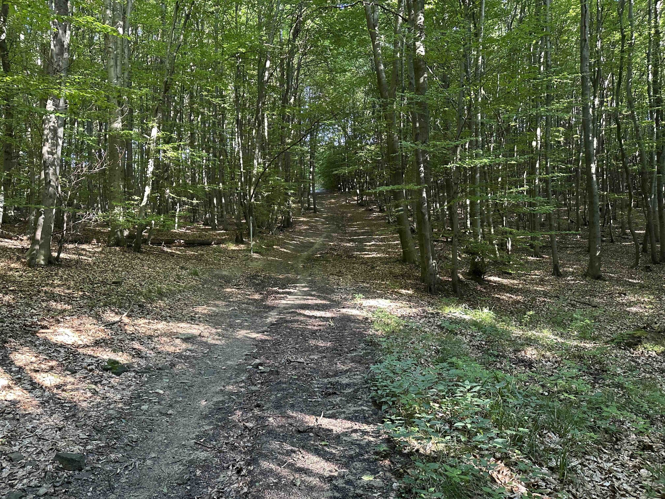 Unterkirchbach-Steinriegl8