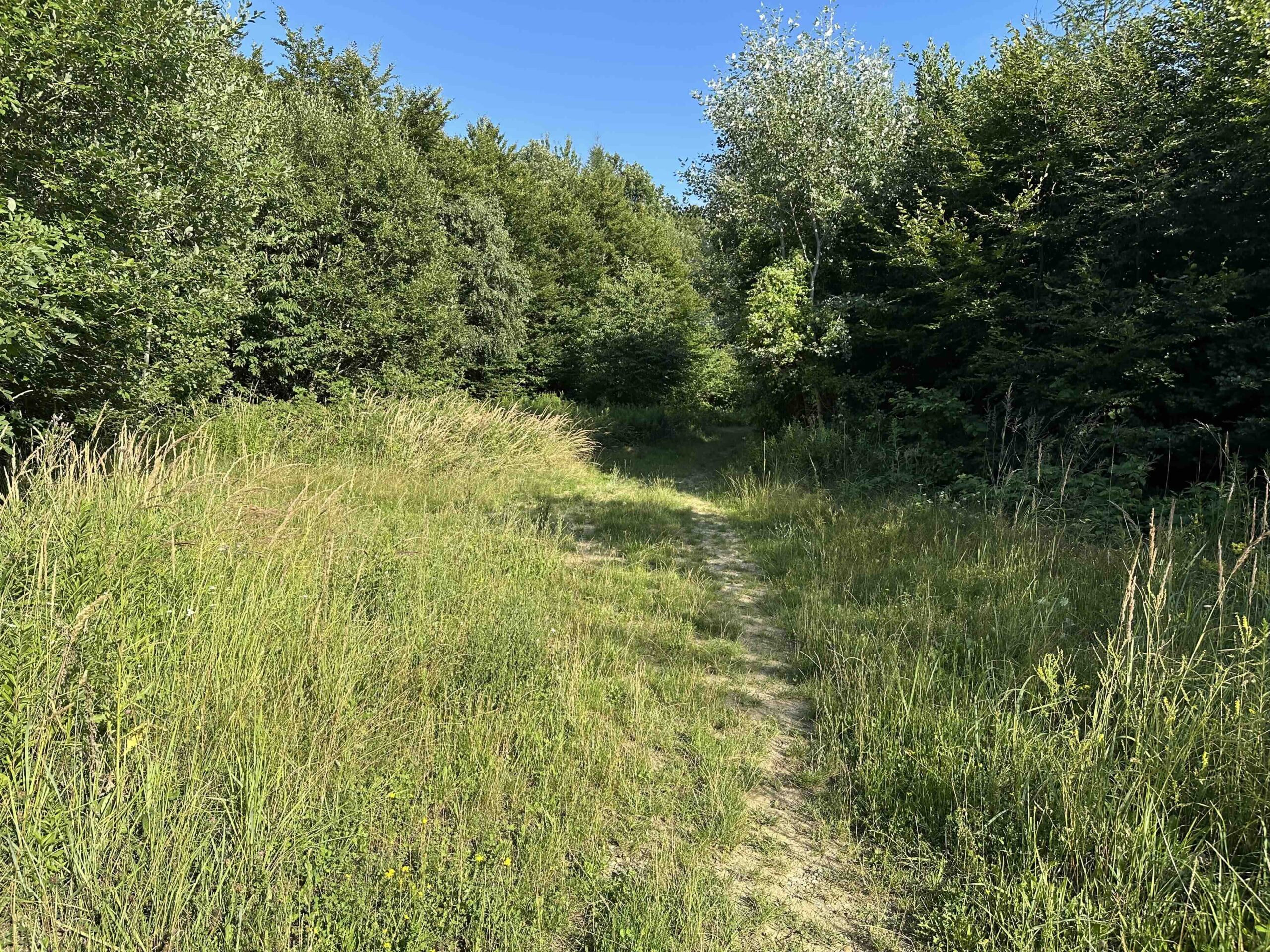 Unterkirchbach-Steinriegl9