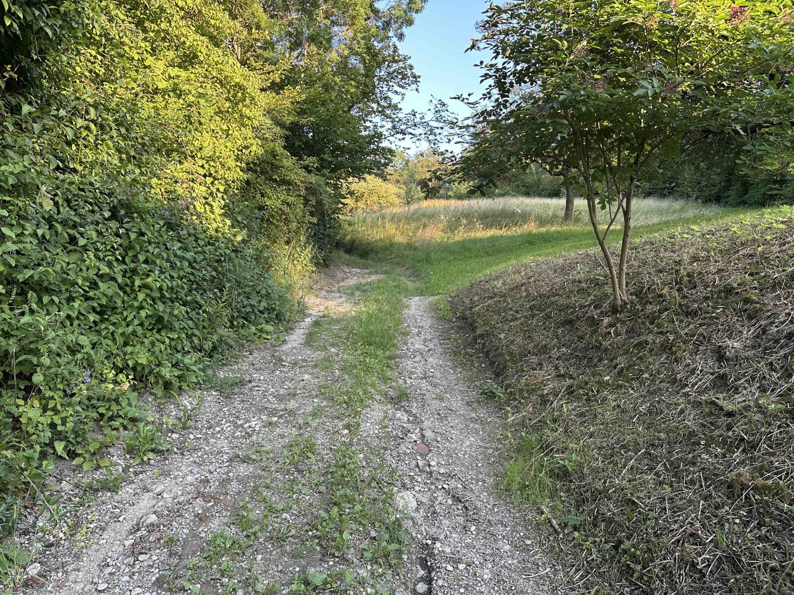 Wolfpassing-Hagenbachklamm1