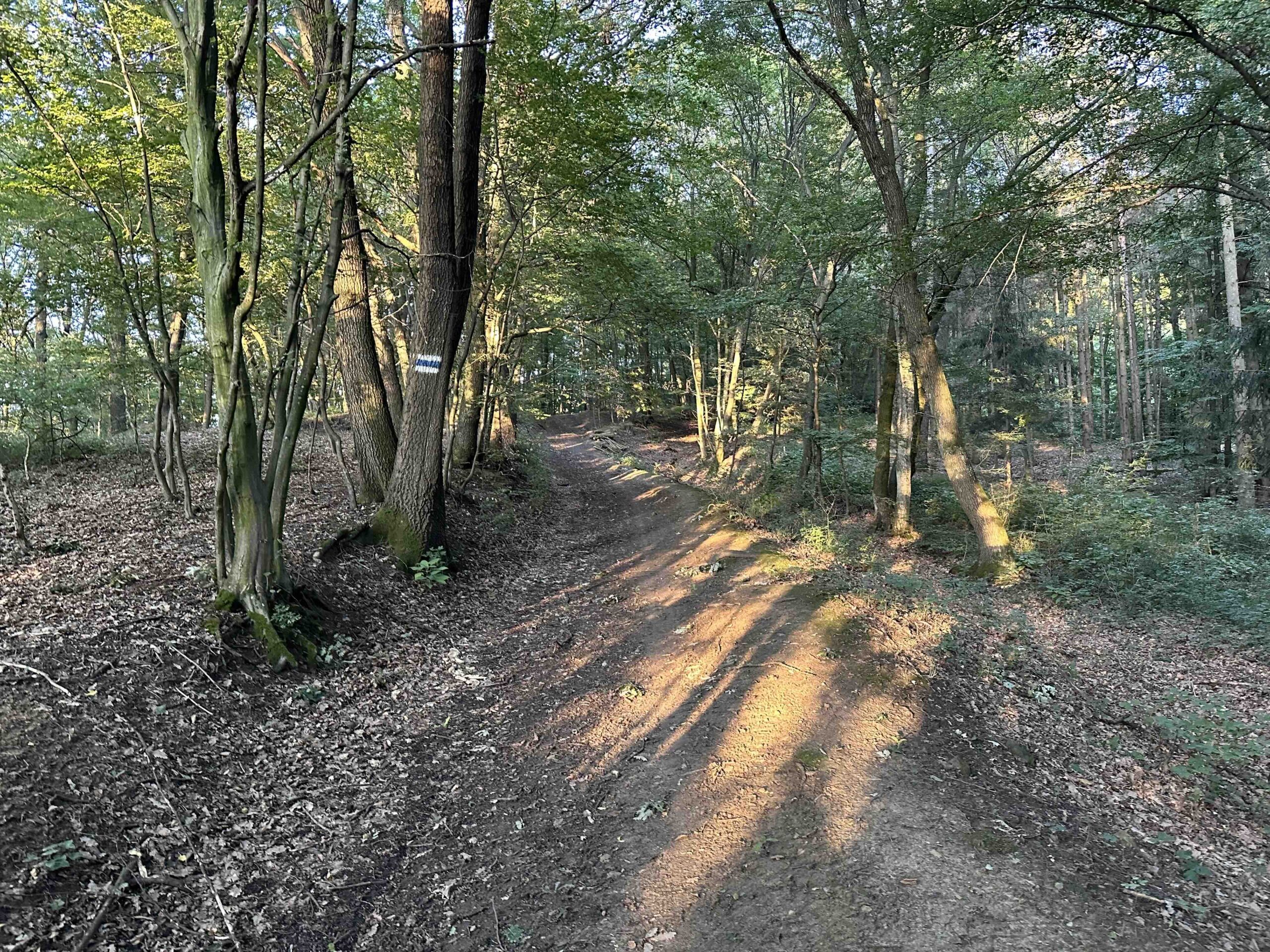 Wolfpassing-Hagenbachklamm10