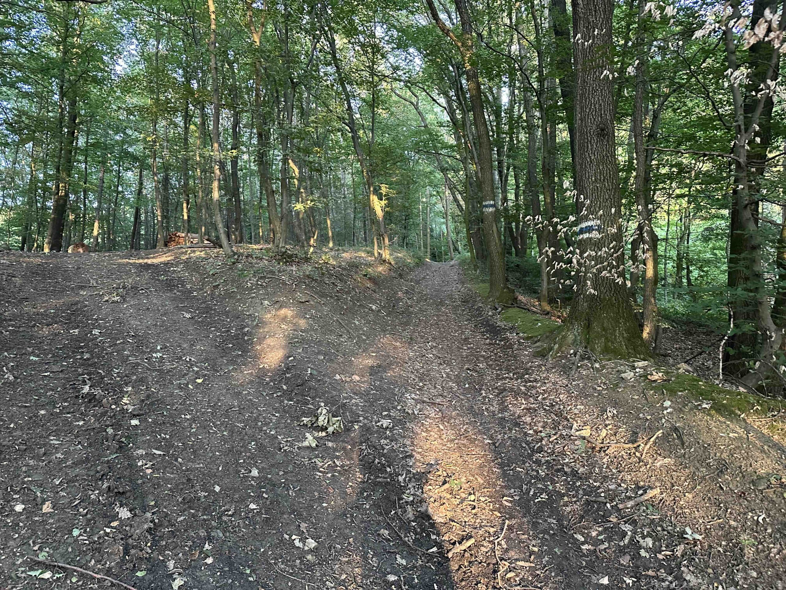 Wolfpassing-Hagenbachklamm11