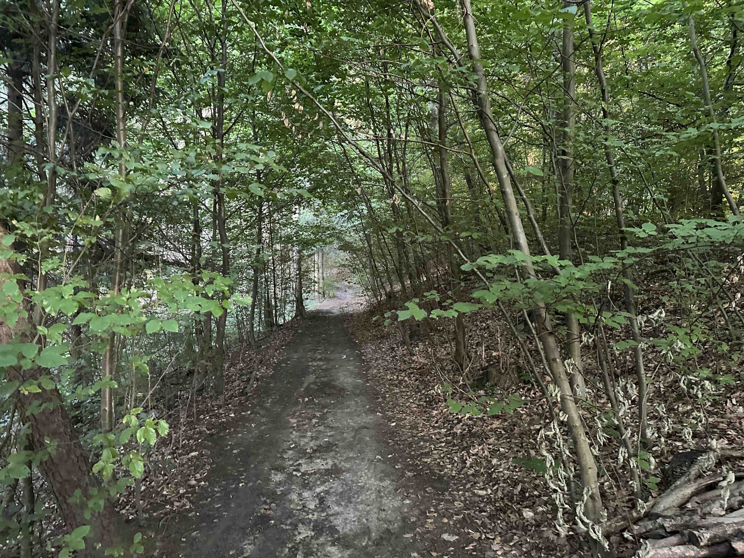 Wolfpassing-Hagenbachklamm12