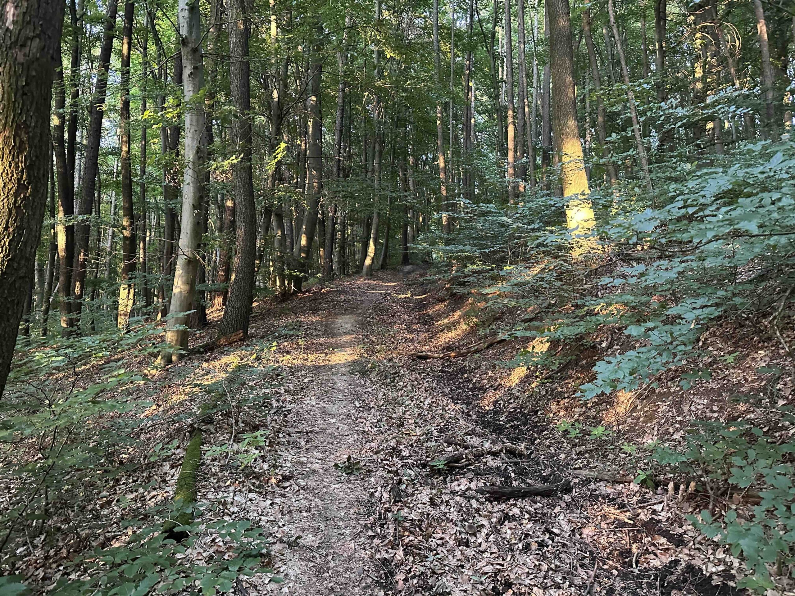 Wolfpassing-Hagenbachklamm13