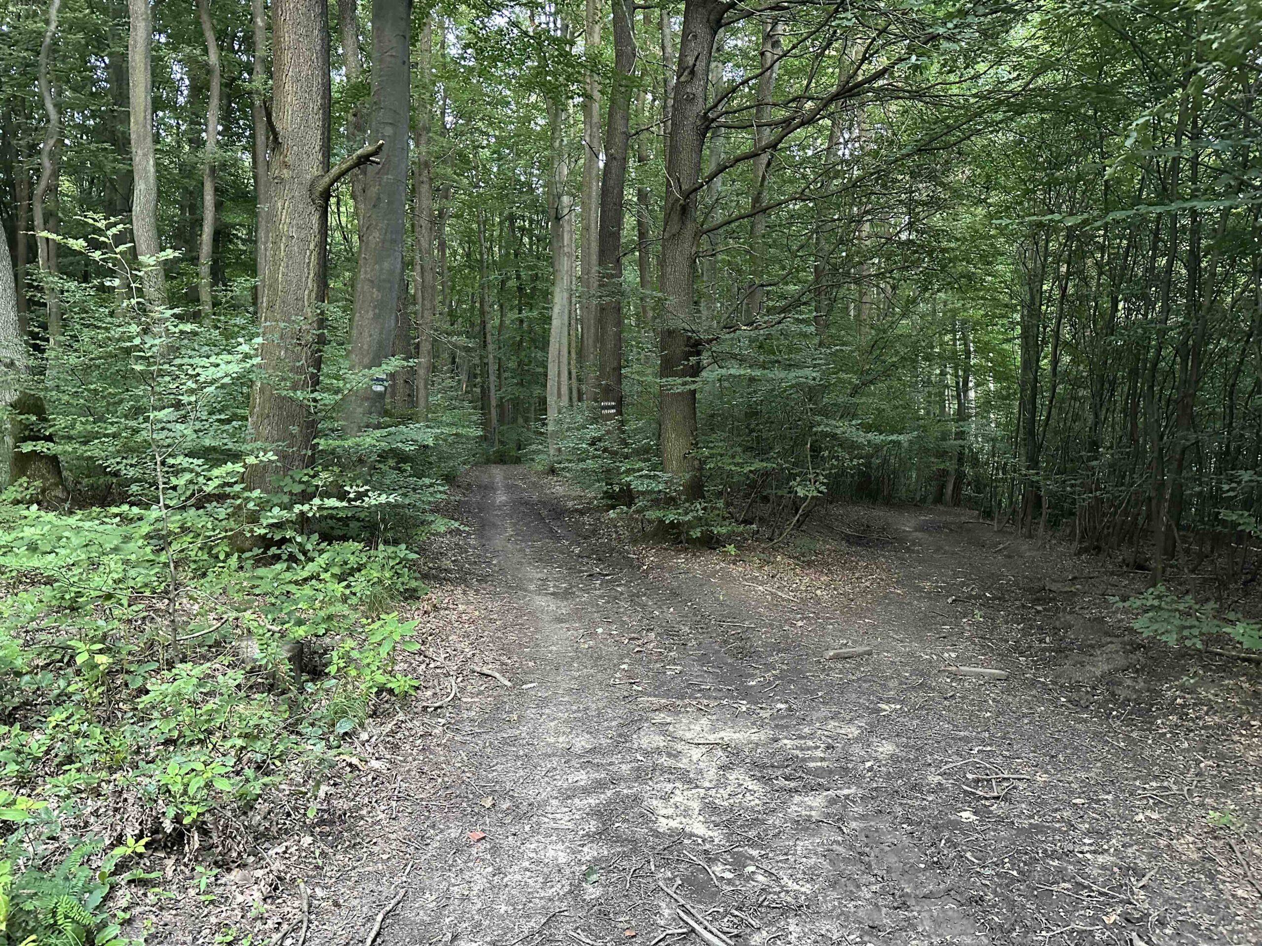 Wolfpassing-Hagenbachklamm17