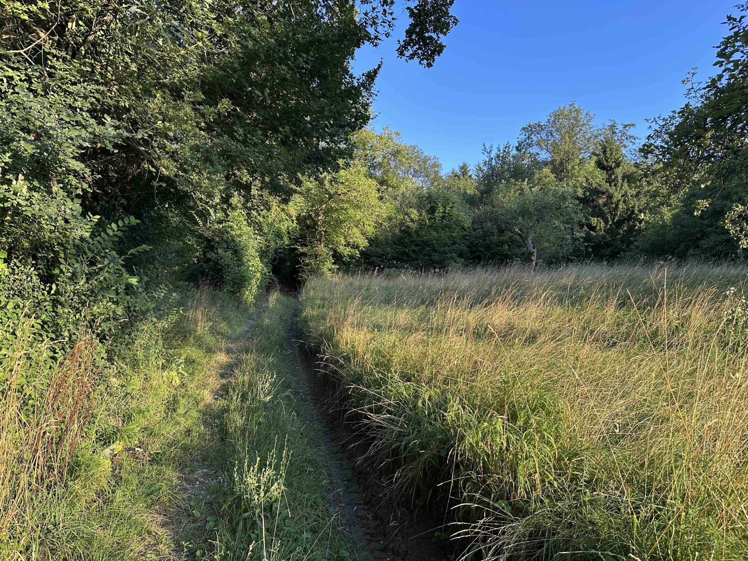 Wolfpassing-Hagenbachklamm2