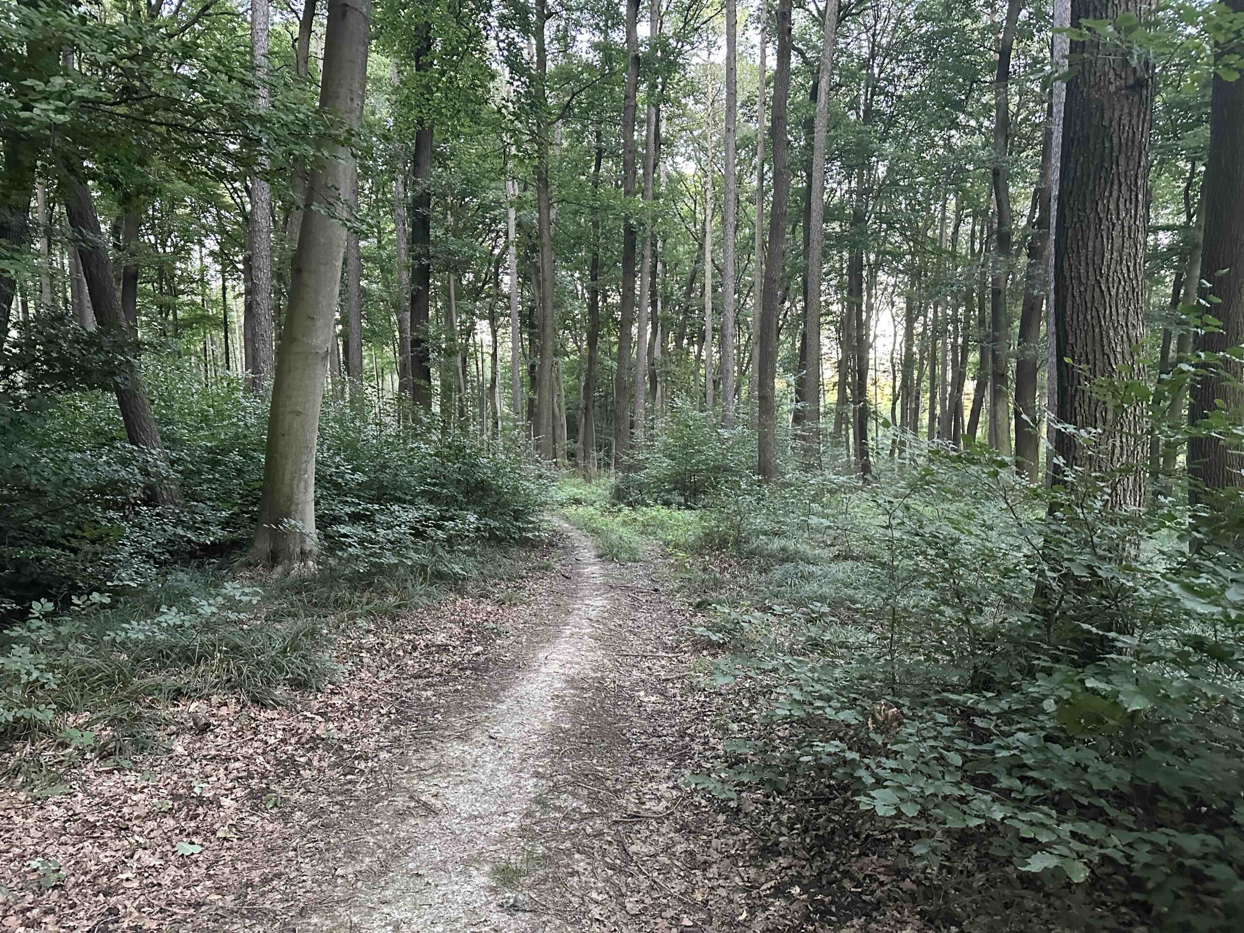 Wolfpassing-Hagenbachklamm22