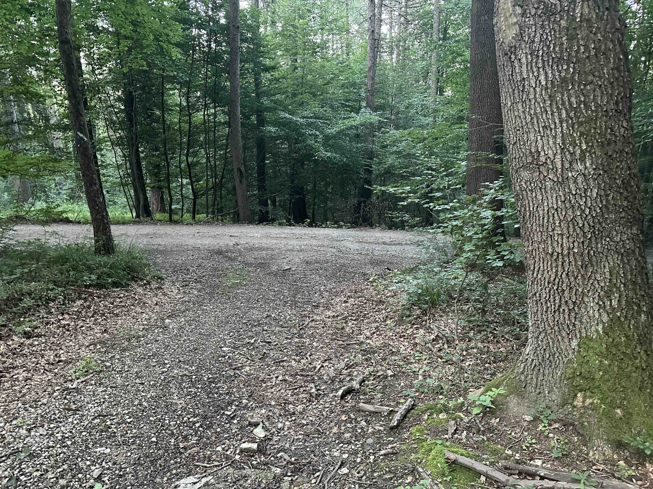 Wolfpassing-Hagenbachklamm24