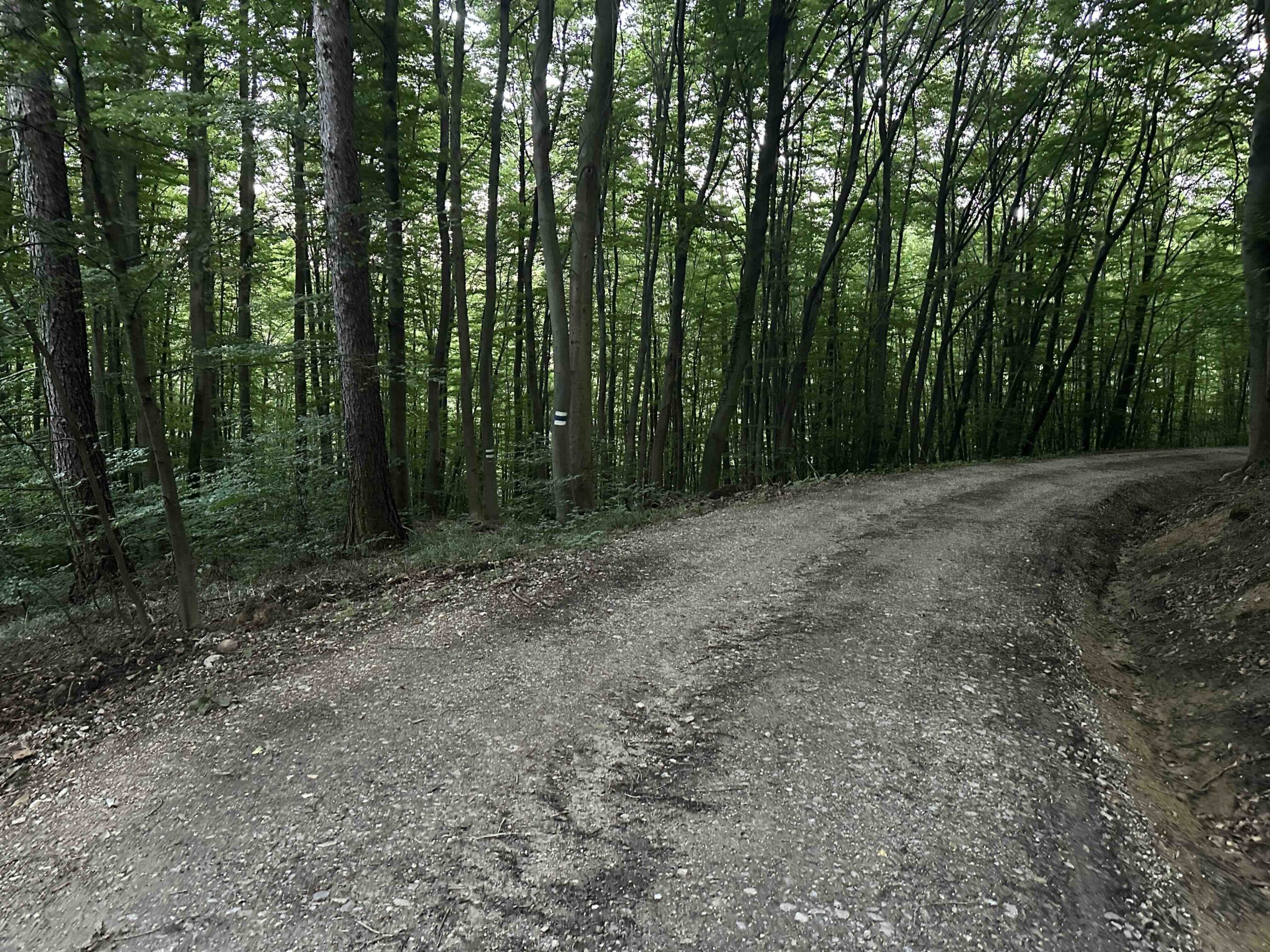 Wolfpassing-Hagenbachklamm25