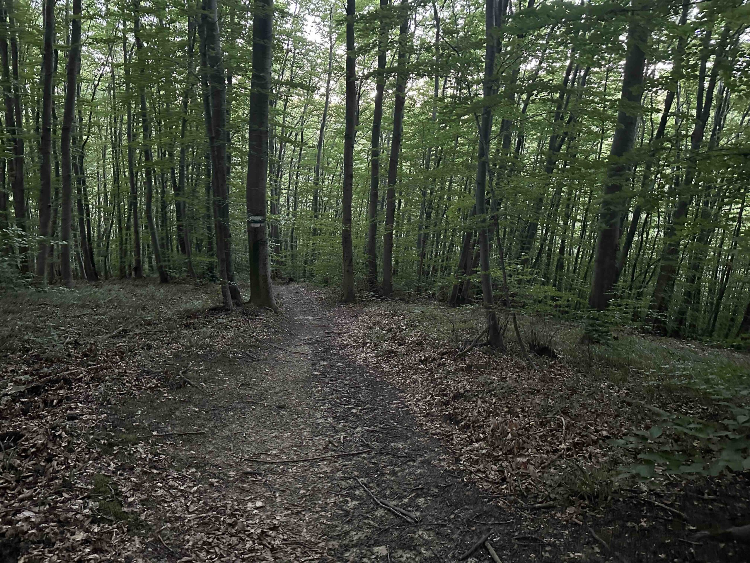 Wolfpassing-Hagenbachklamm26