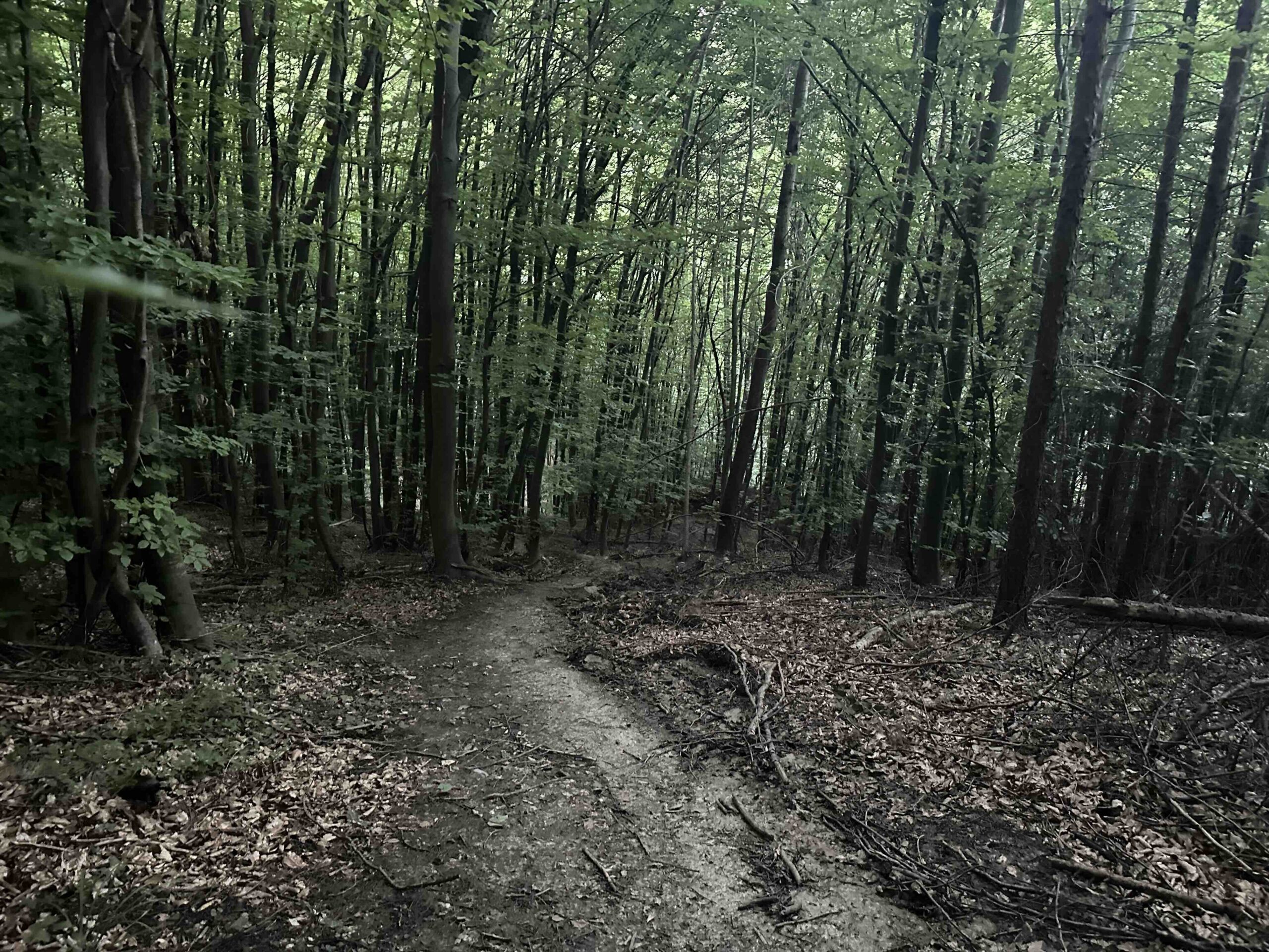 Wolfpassing-Hagenbachklamm27