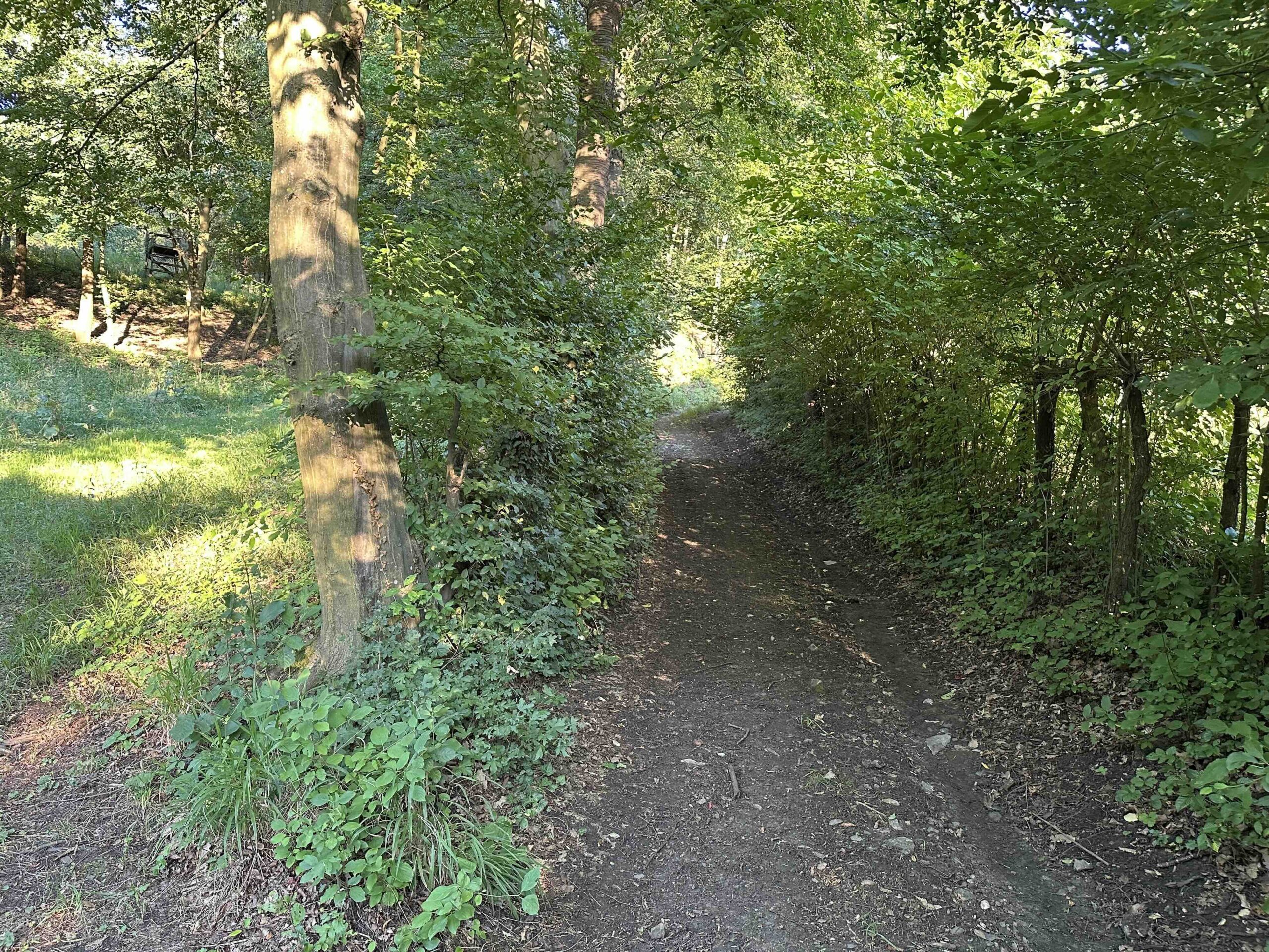 Wolfpassing-Hagenbachklamm3