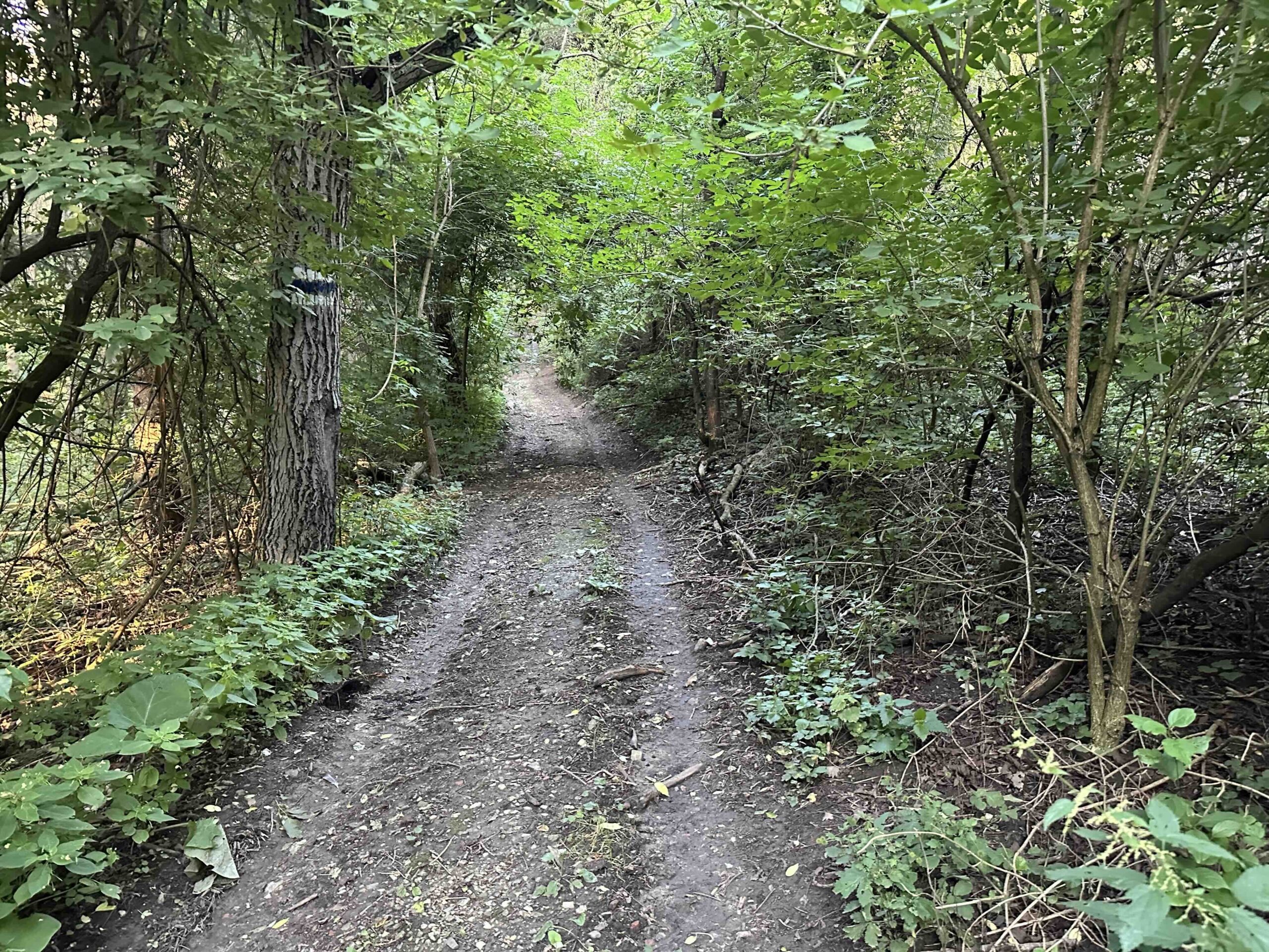 Wolfpassing-Hagenbachklamm4