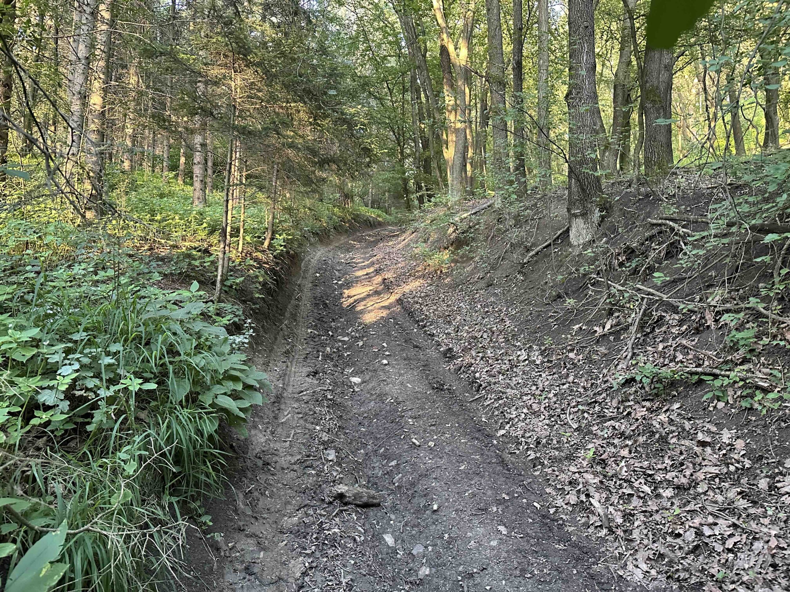 Wolfpassing-Hagenbachklamm5