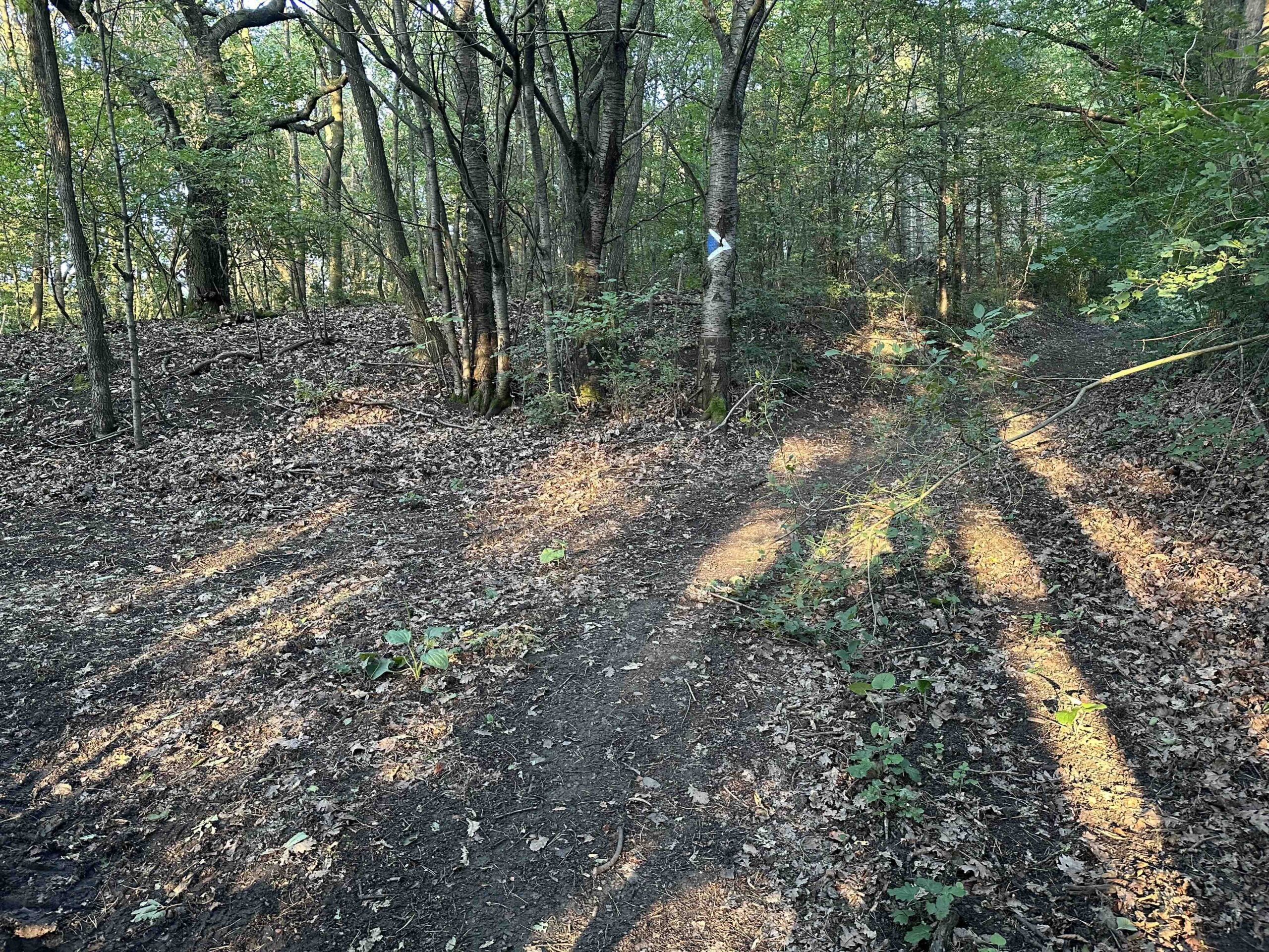 Wolfpassing-Hagenbachklamm6