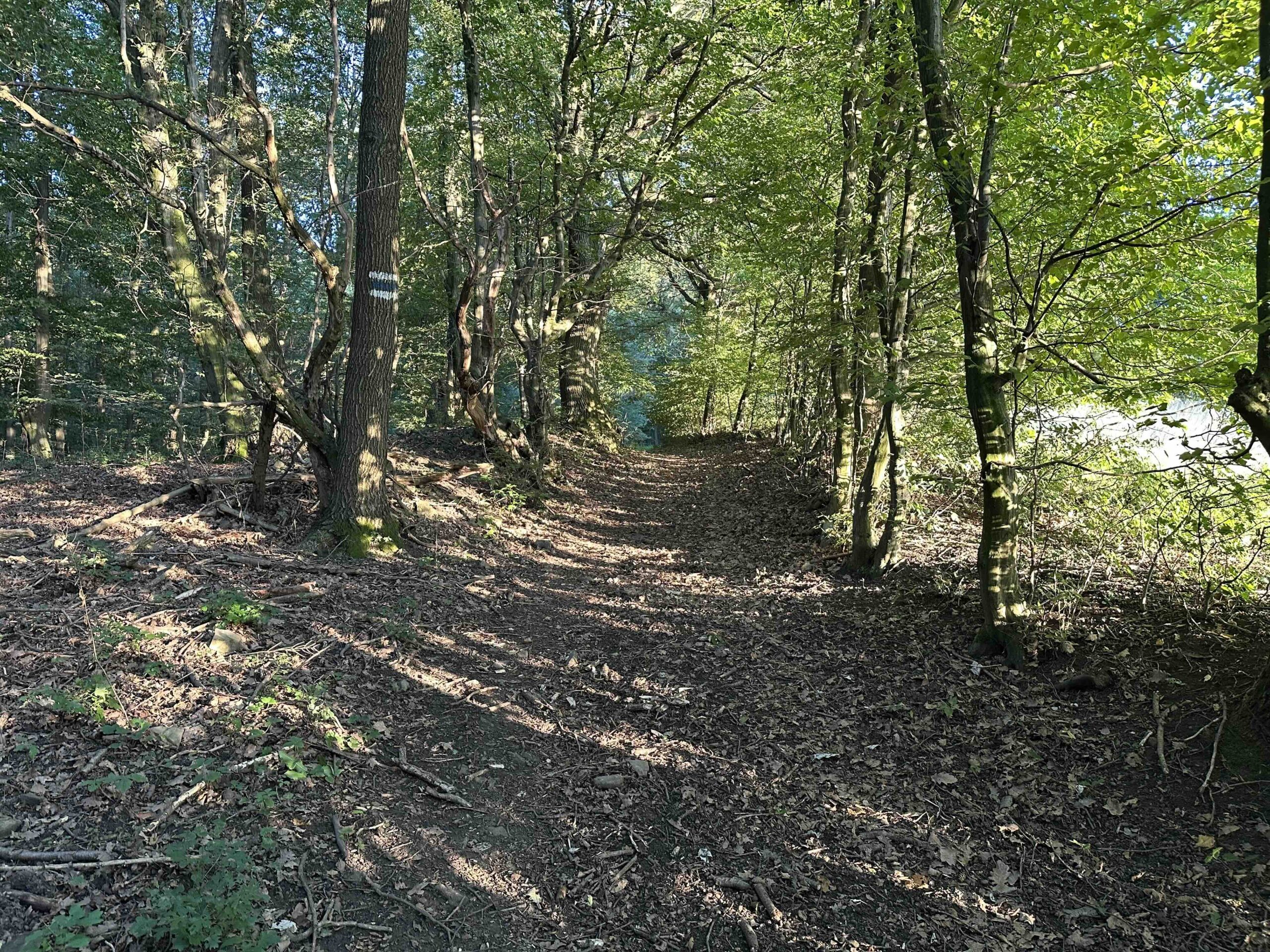 Wolfpassing-Hagenbachklamm7