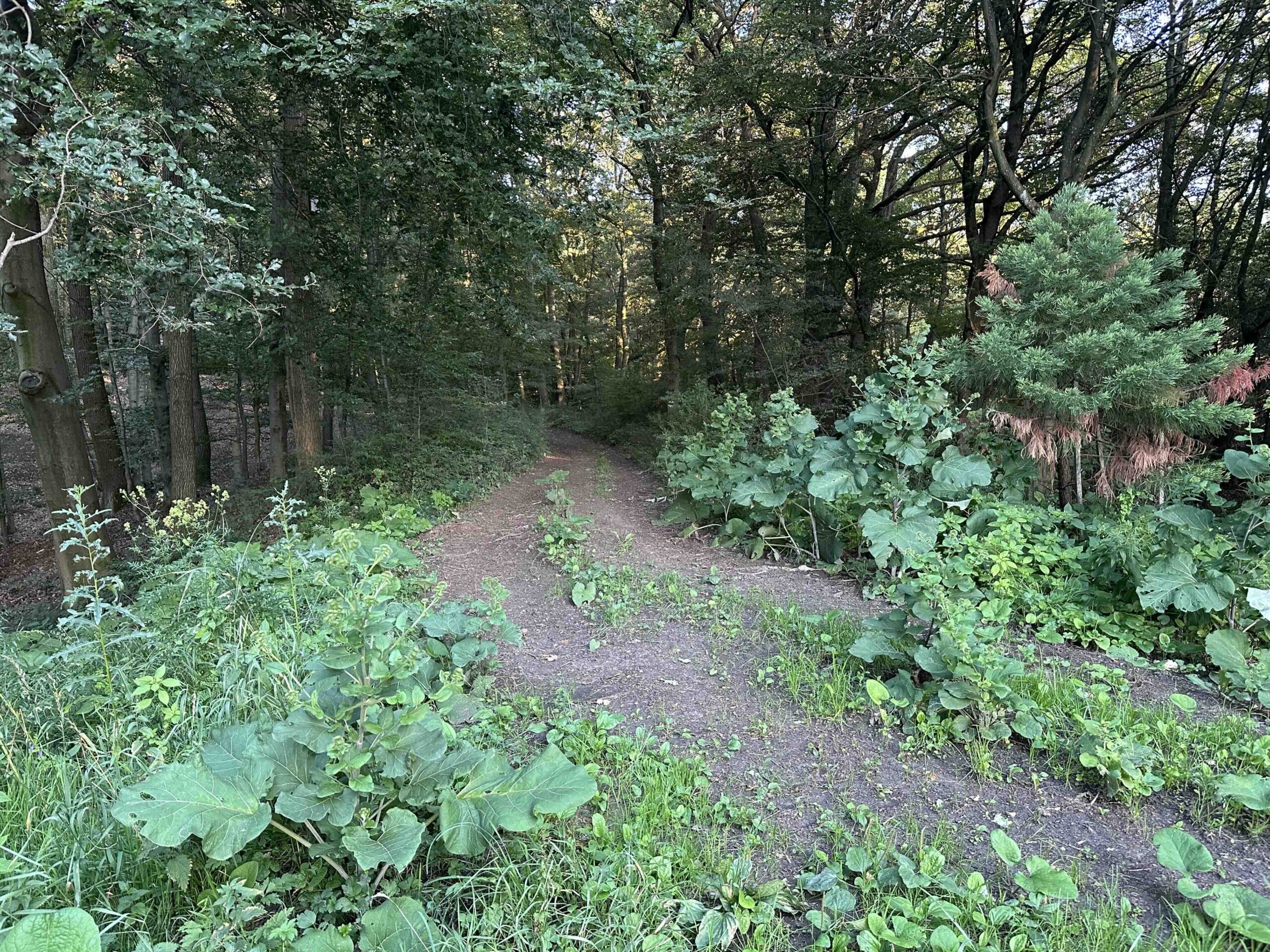 Wolfpassing-Hagenbachklamm8