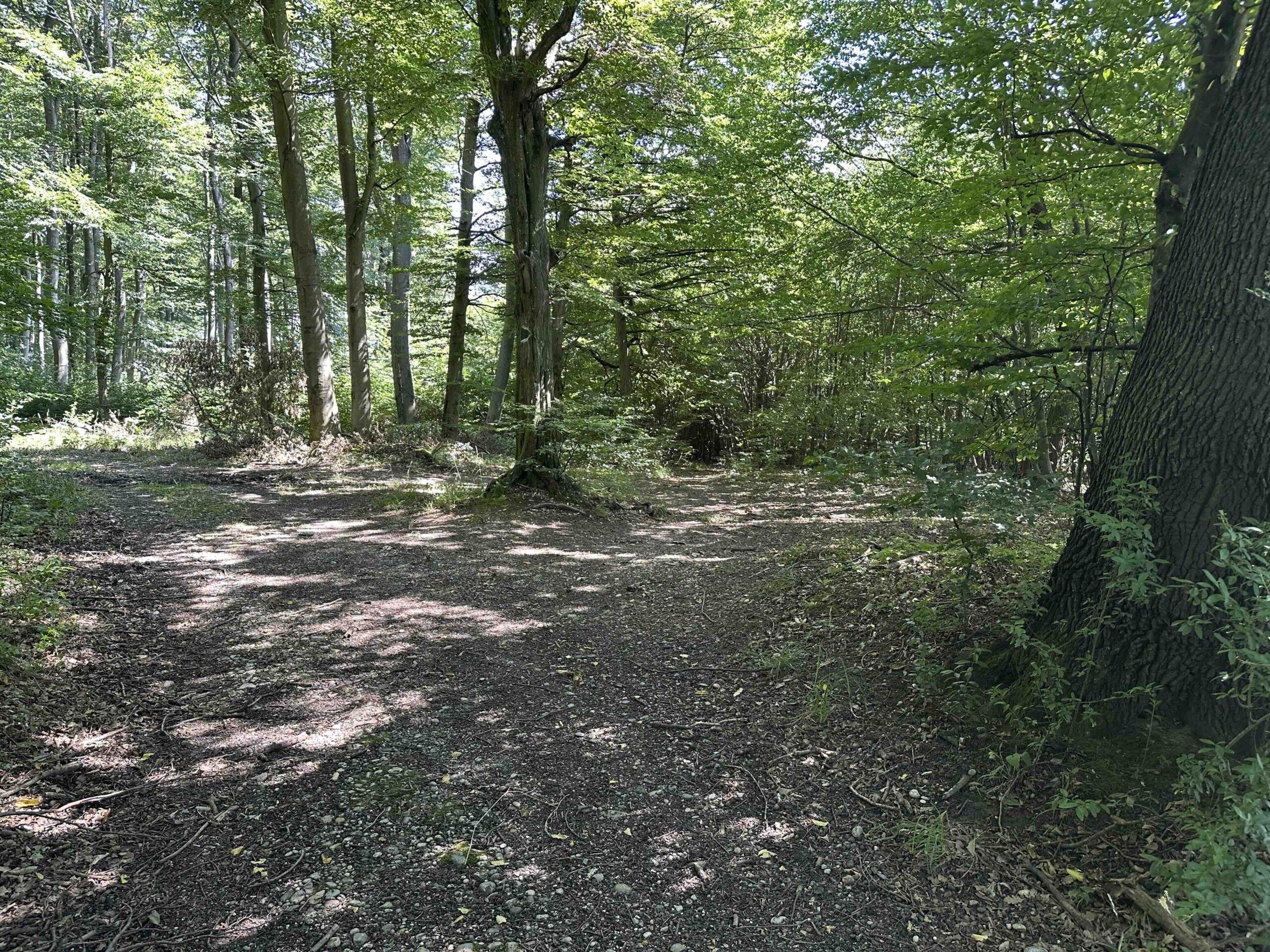 Wolfpassing-Unterkirchbach10