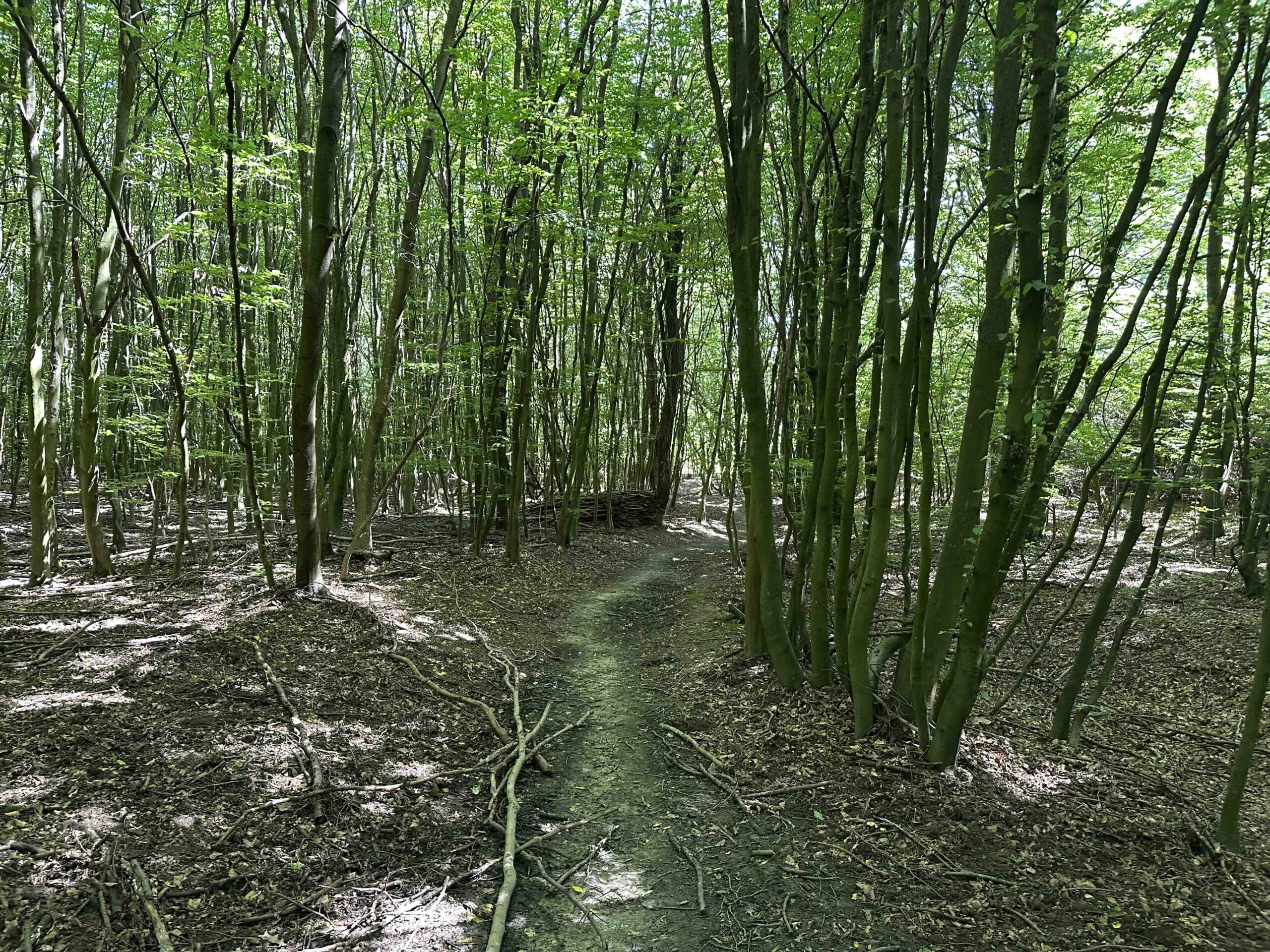 Wolfpassing-Unterkirchbach11