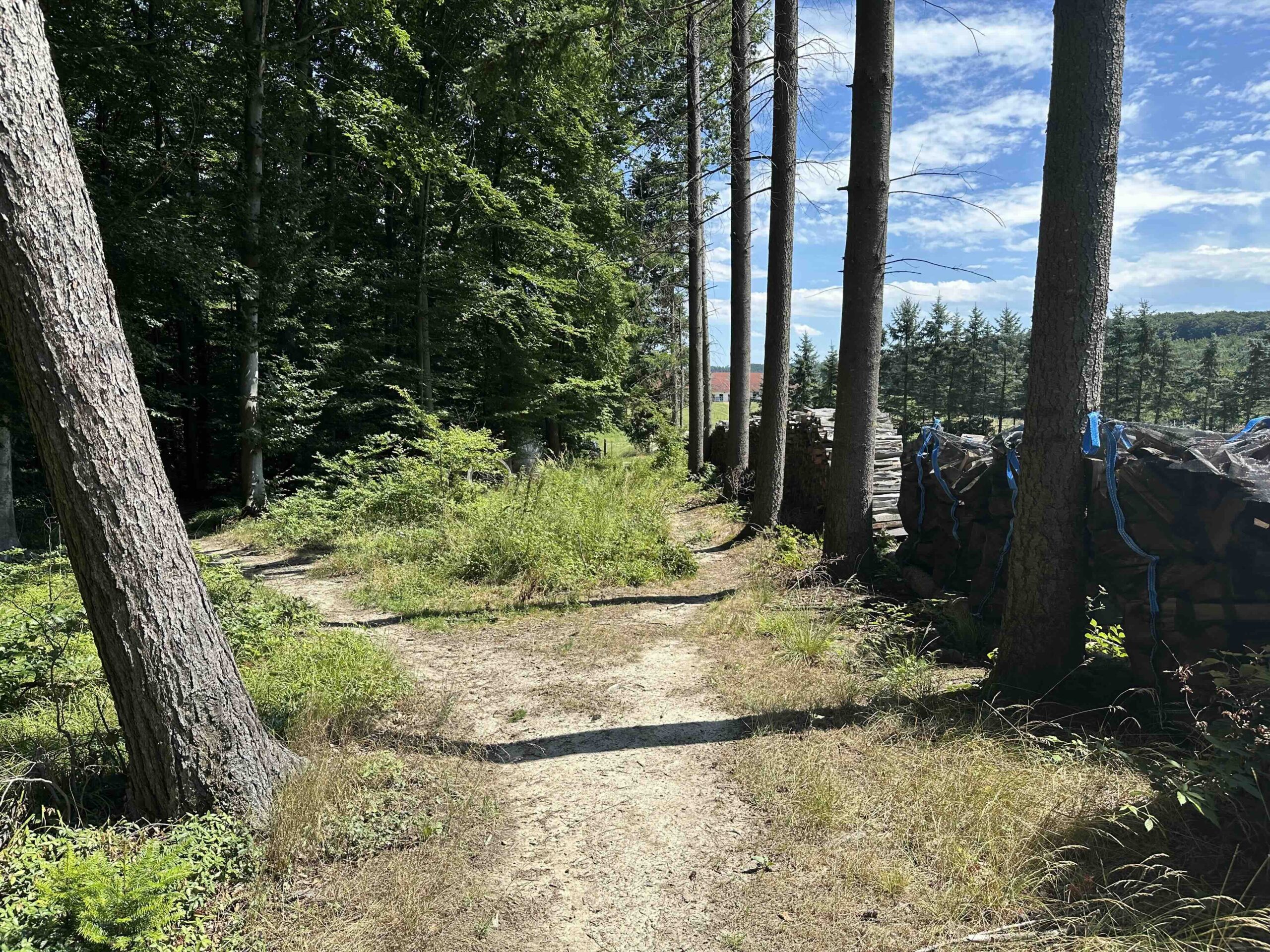 Wolfpassing-Unterkirchbach12