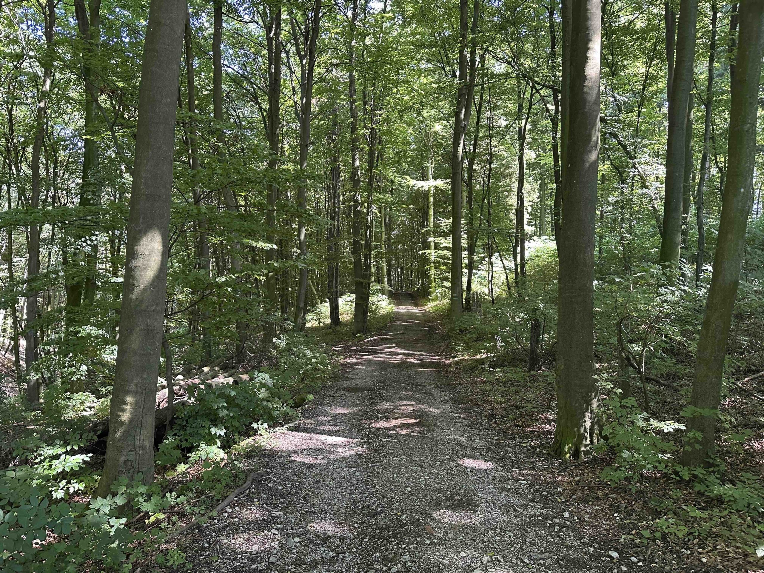 Wolfpassing-Unterkirchbach13