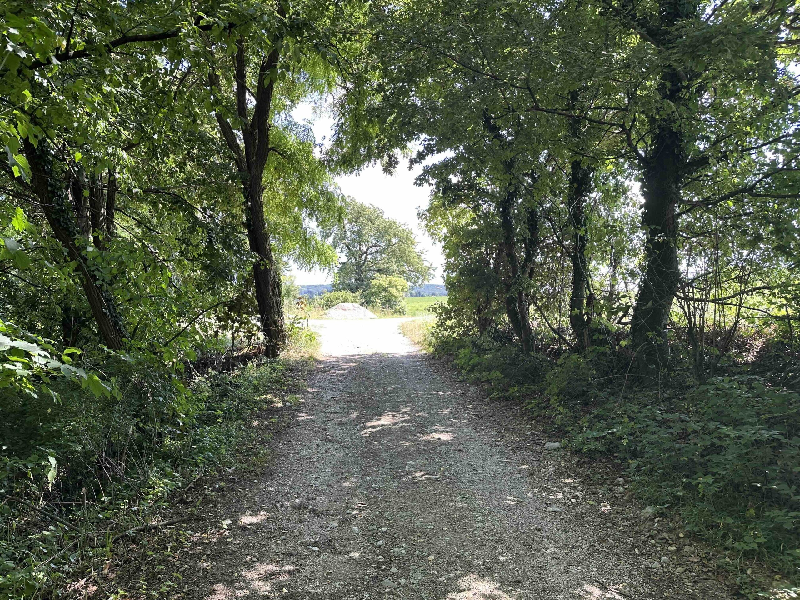 Wolfpassing-Unterkirchbach14