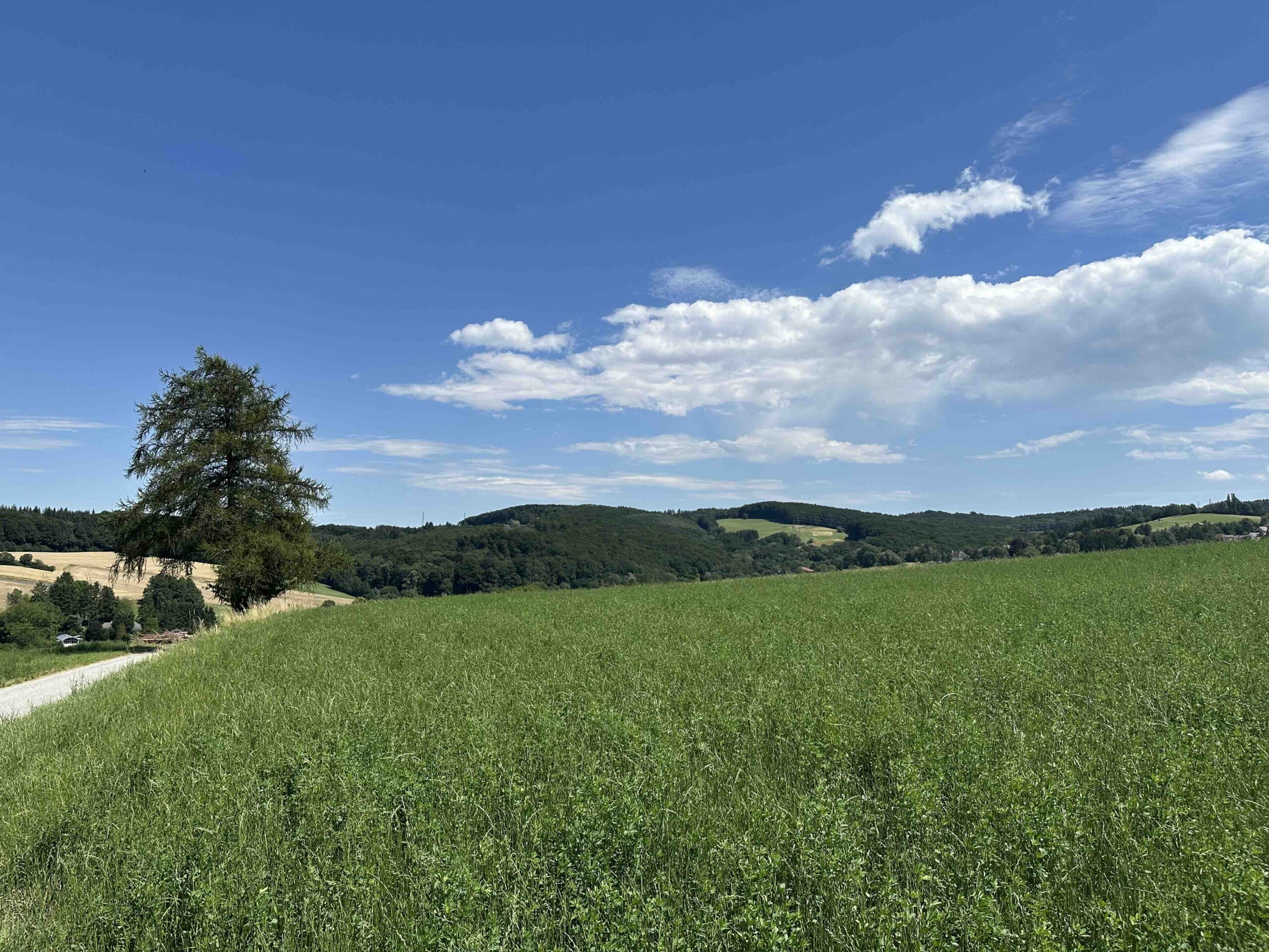 Wolfpassing-Unterkirchbach15